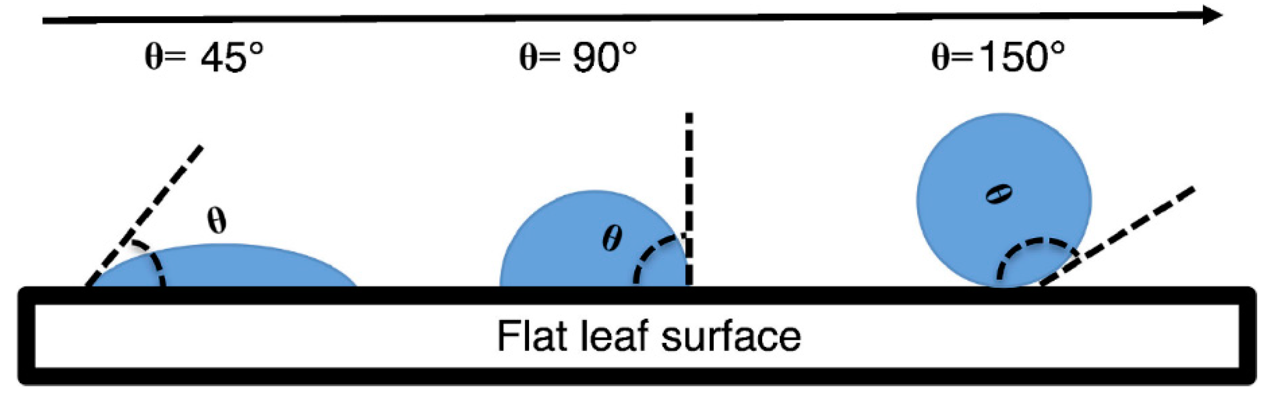 Forests 14 00551 g002 Forests 14 00551 g002