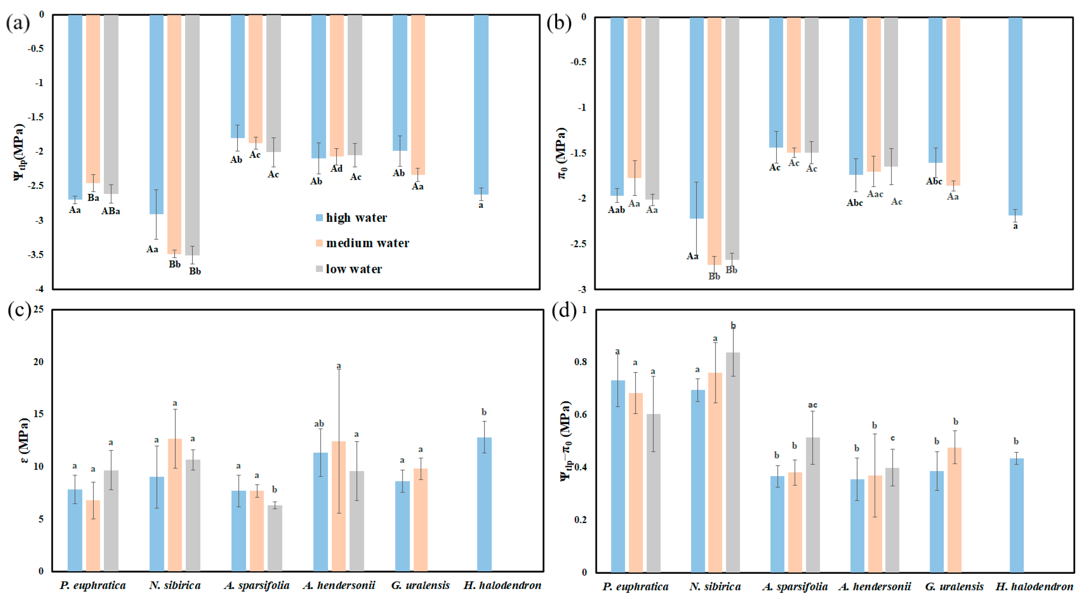 Forests 14 00551 g006 Forests 14 00551 g006