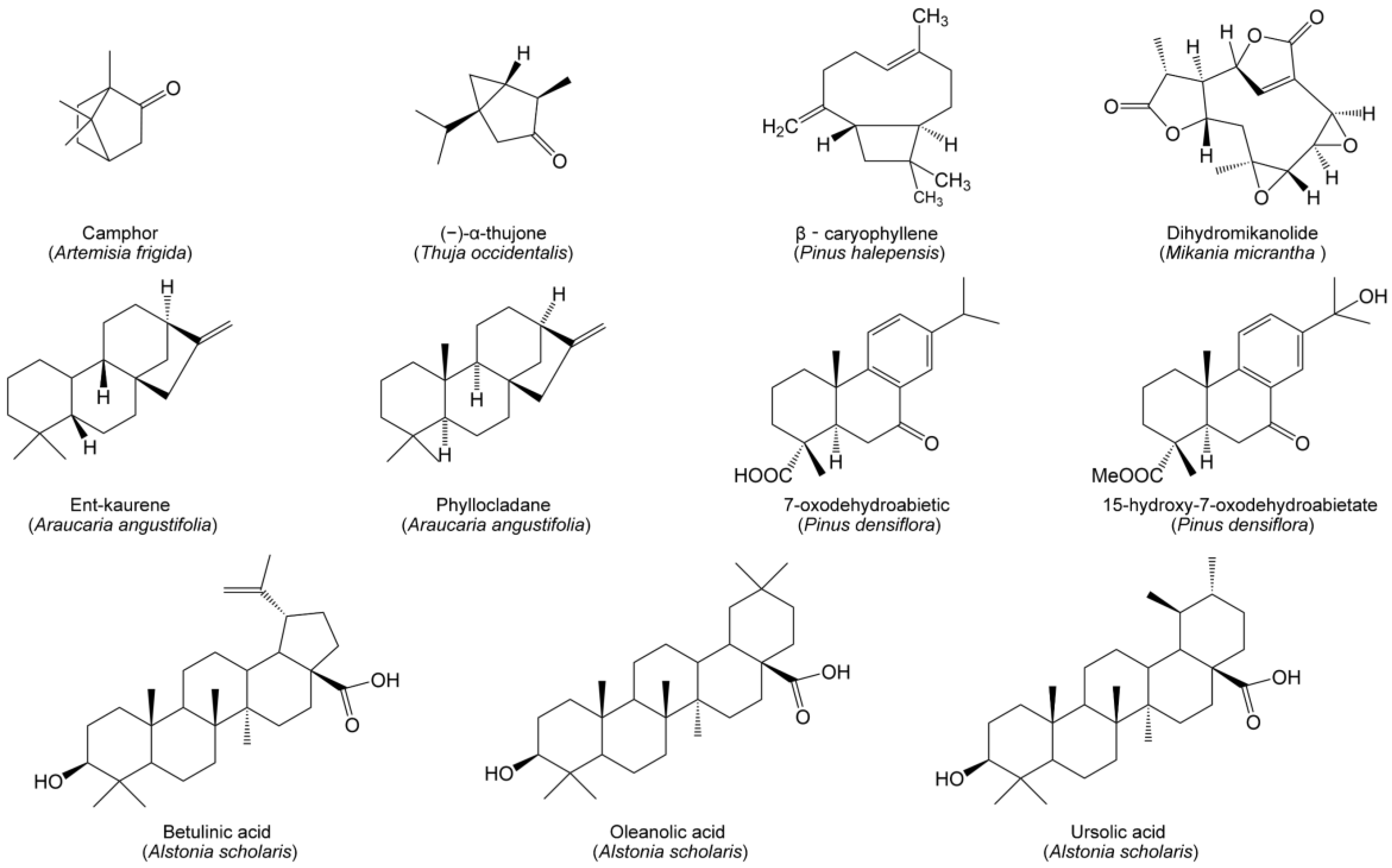 Forests 14 00562 g002