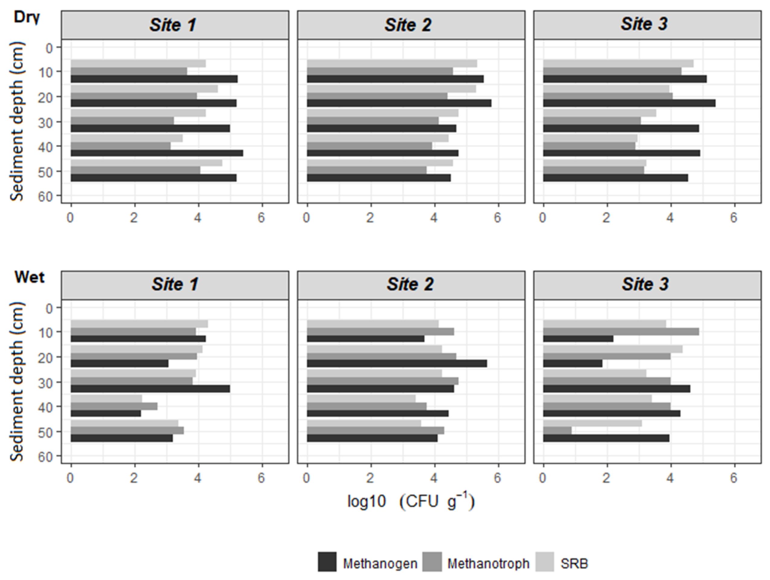 Forests 14 00564 g002