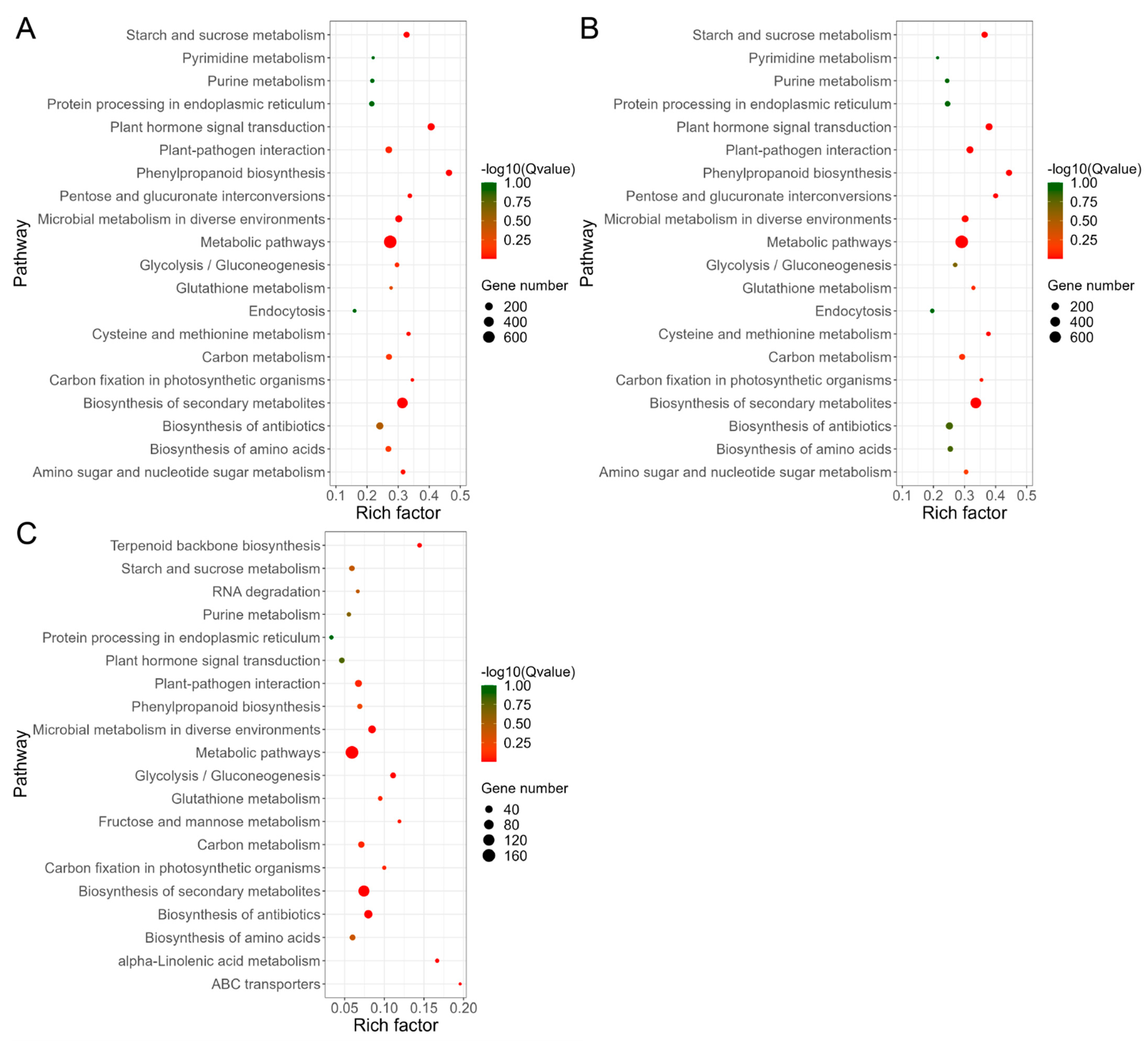 Forests 14 00568 g004