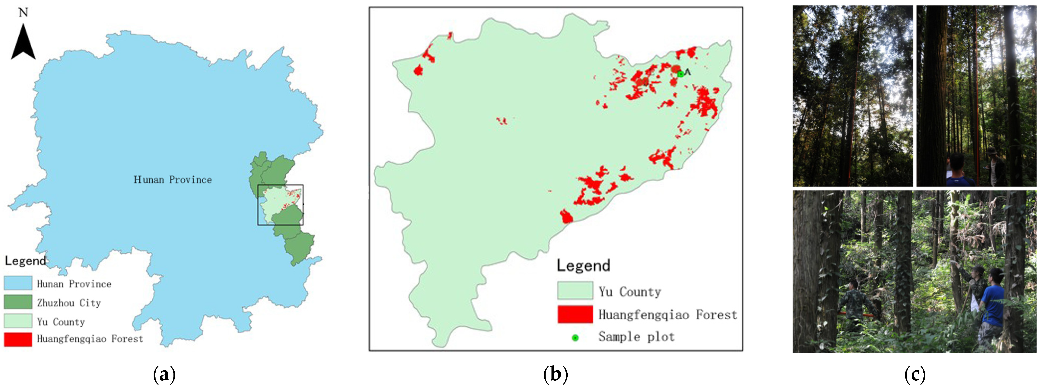 Forests 14 00595 g001 Forests 14 00595 g001