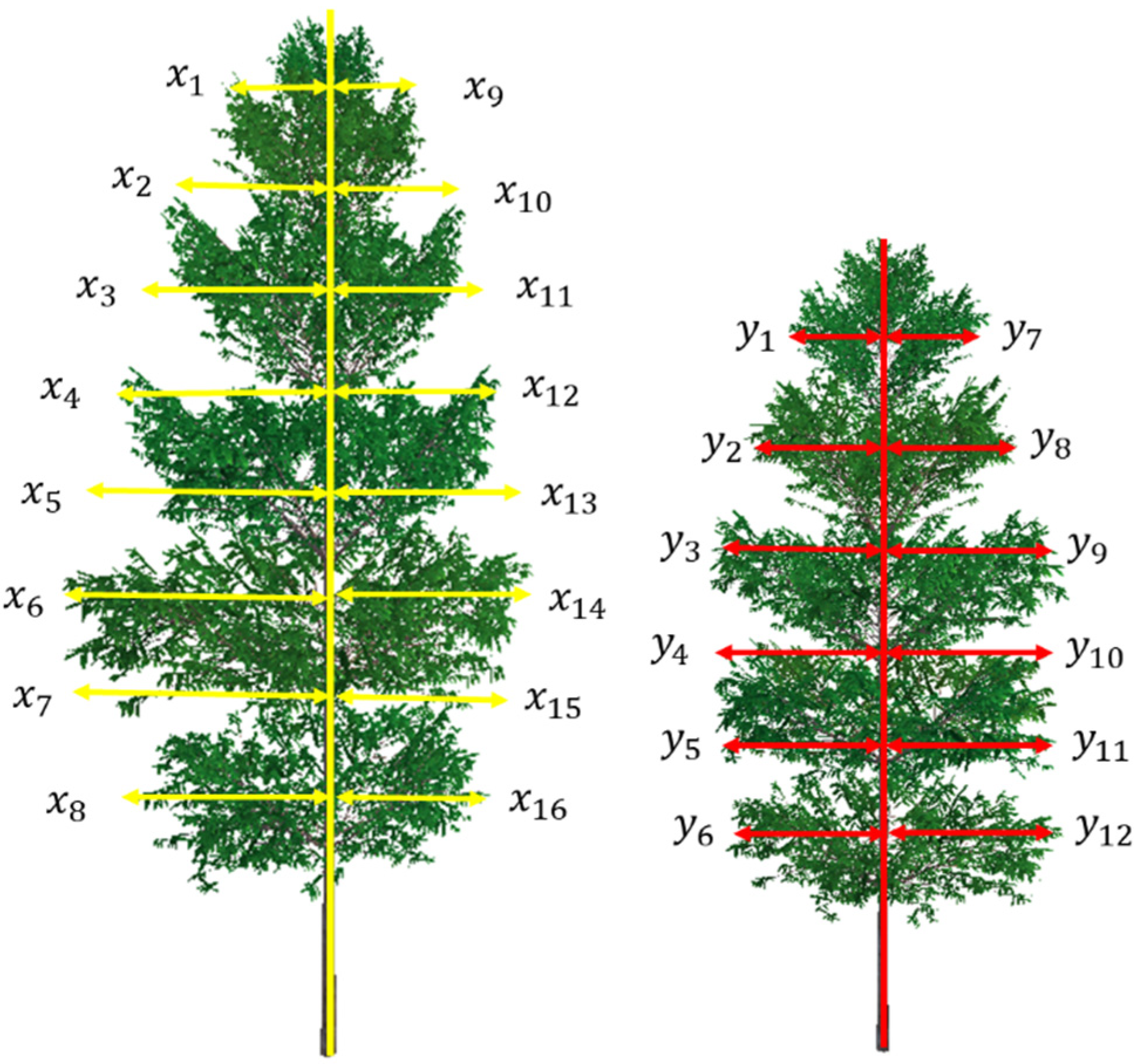 Forests 14 00595 g003 Forests 14 00595 g003
