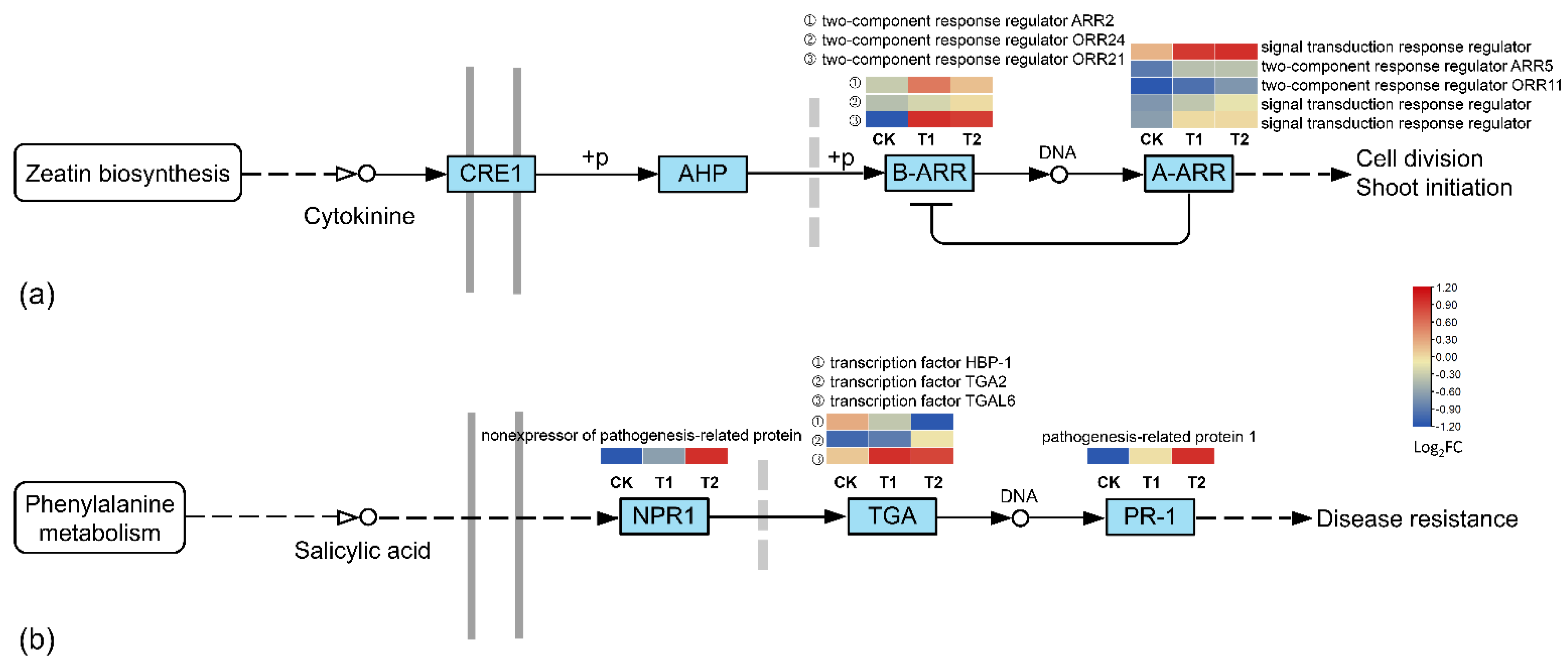 Forests 14 00610 g006 Forests 14 00610 g006
