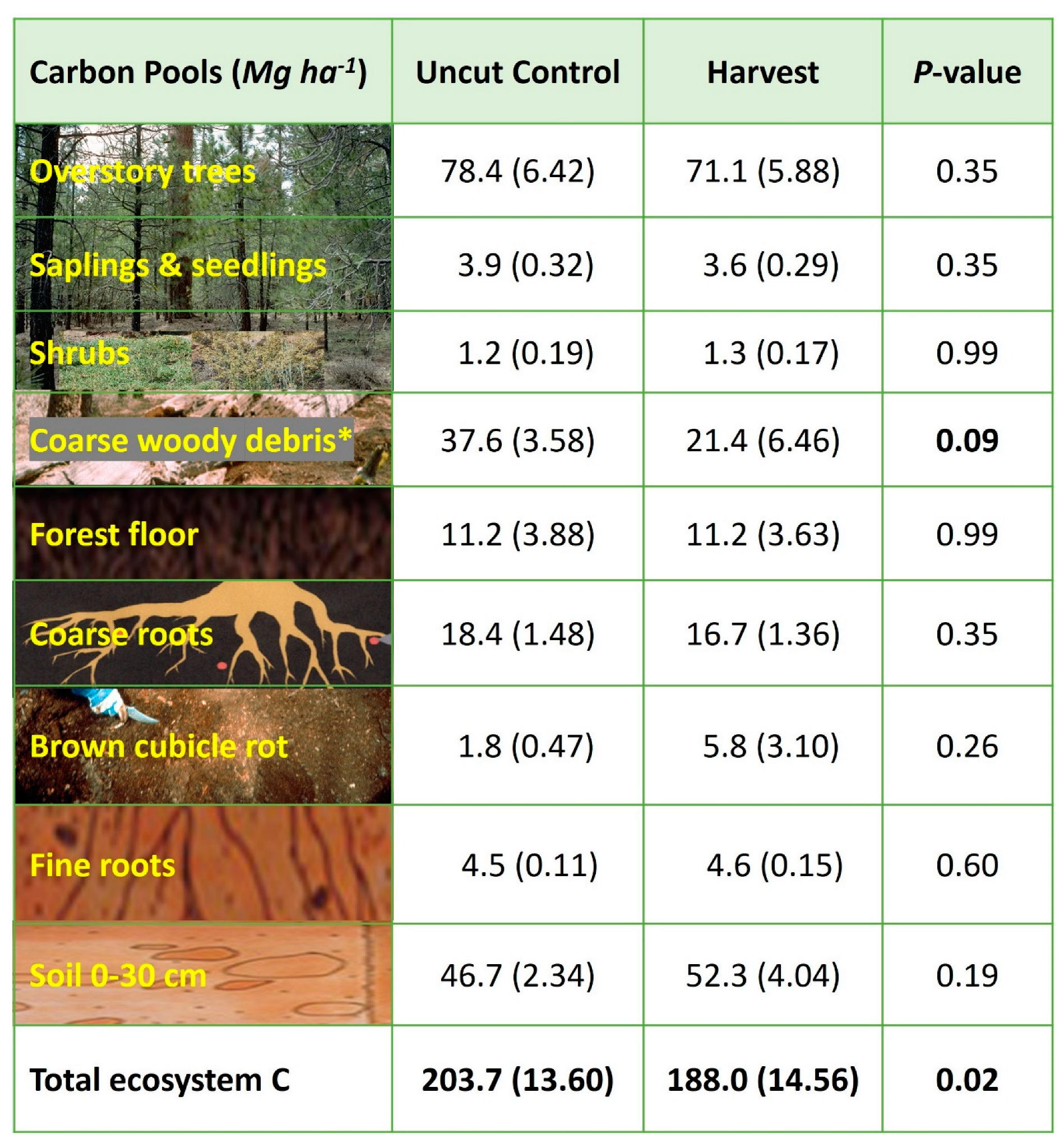 Forests 14 00623 g008