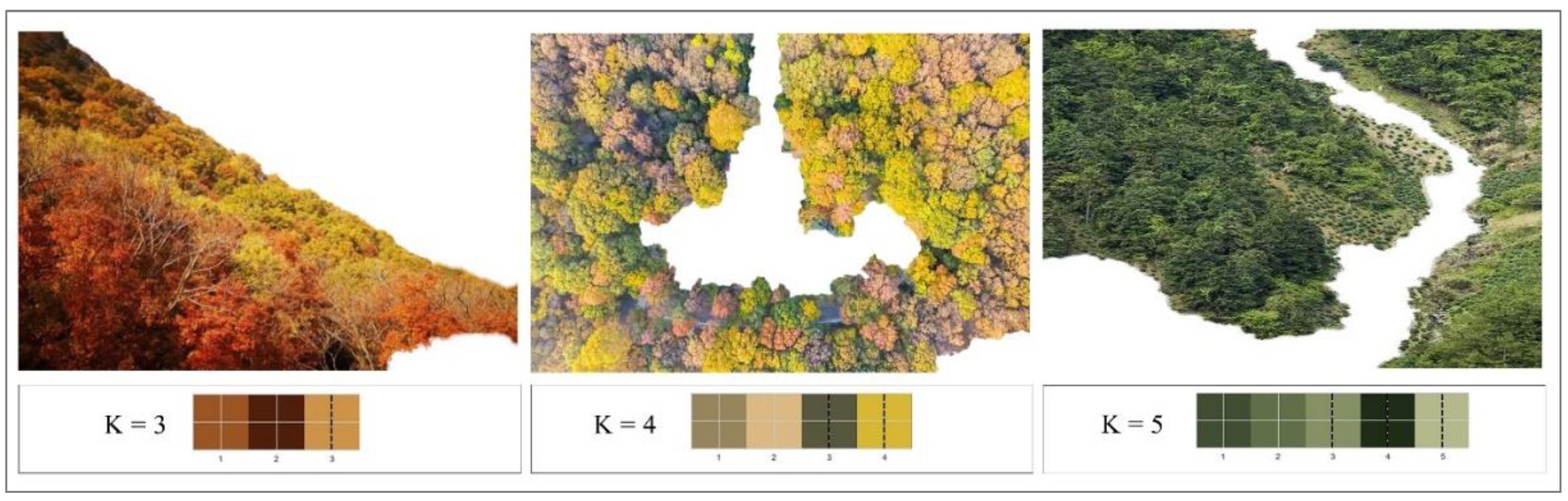 Forests 14 00627 g0a2 Forests 14 00627 g0a2