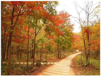 Forests 14 00627 i031 Forests 14 00627 i031