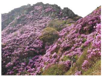 Forests 14 00627 i041 Forests 14 00627 i041