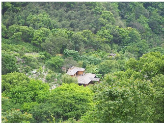 Forests 14 00627 i045 Forests 14 00627 i045