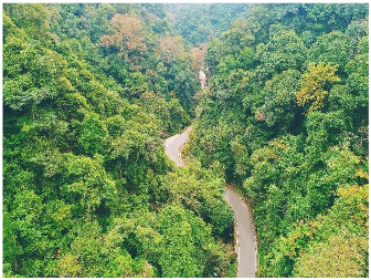 Forests 14 00627 i053 Forests 14 00627 i053