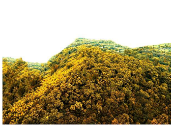 Forests 14 00627 i059 Forests 14 00627 i059