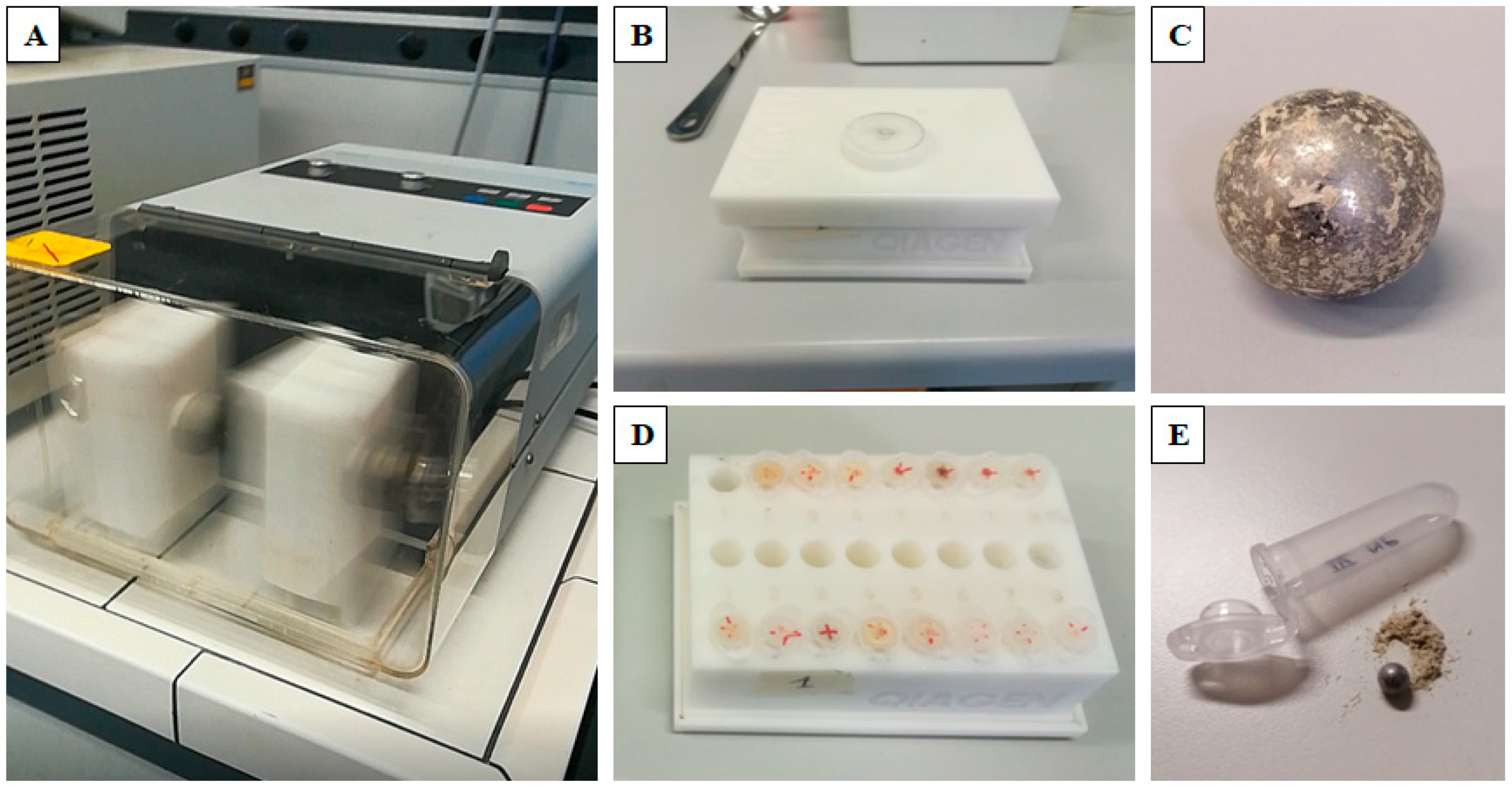 Forests 14 00631 g001 Forests 14 00631 g001