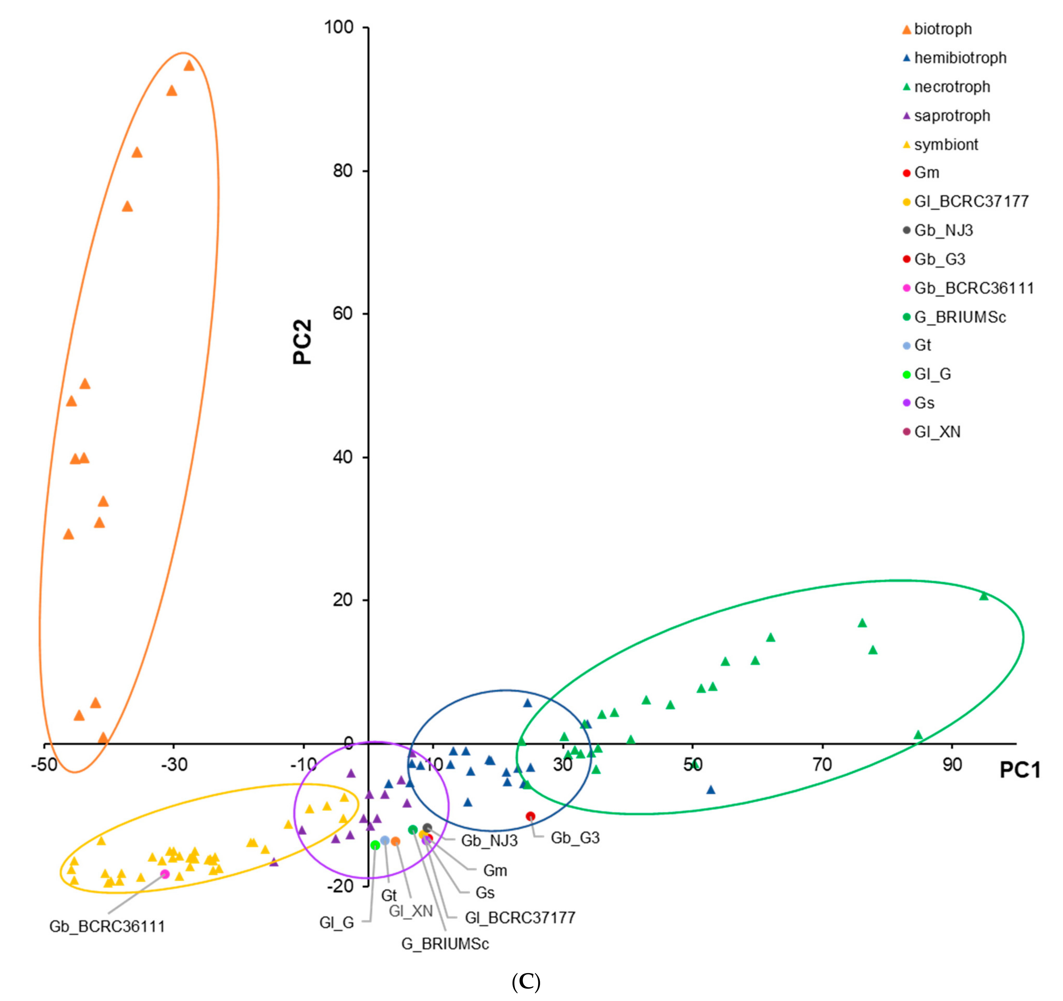 Forests 14 00653 g001b