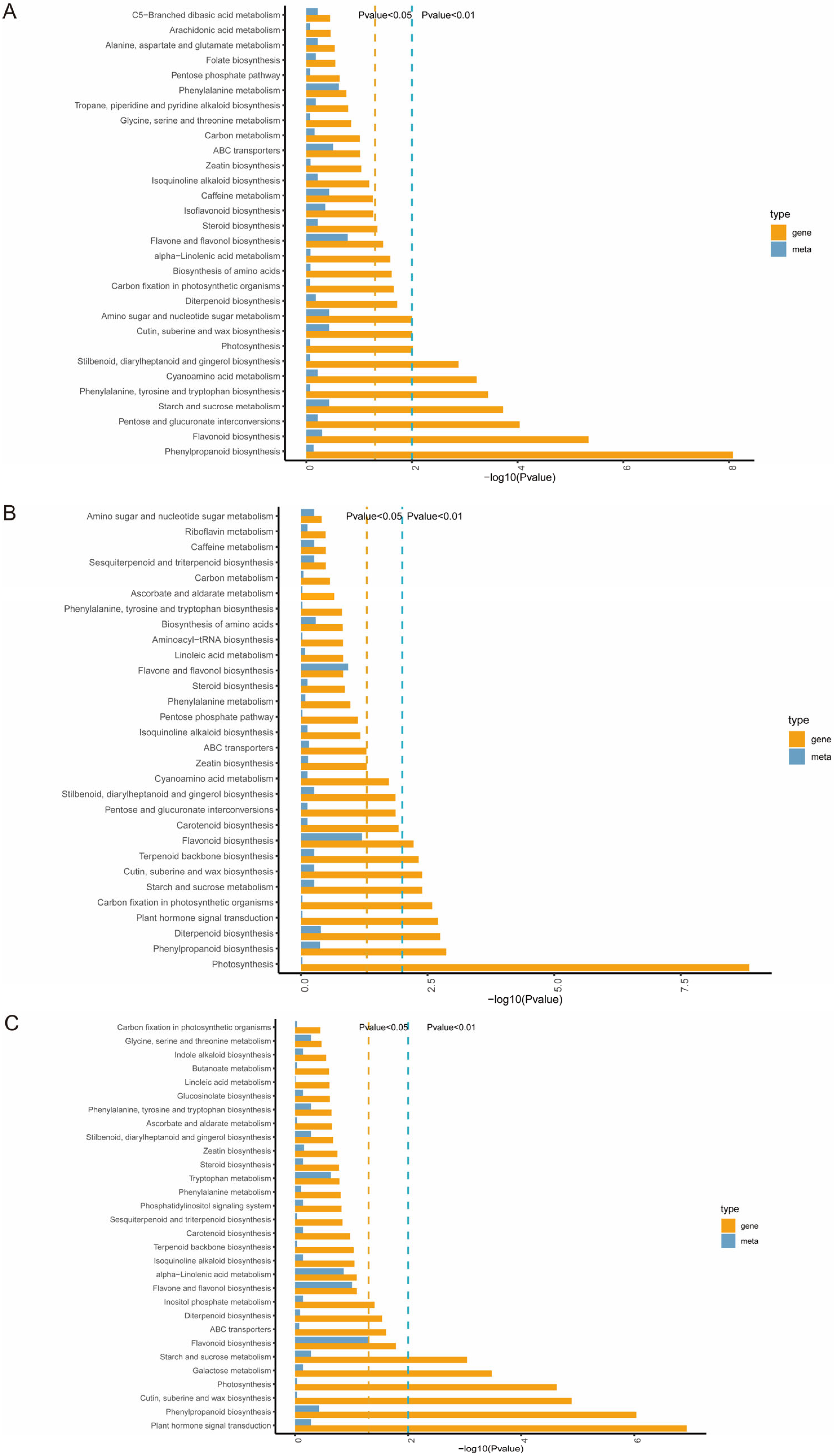 Forests 14 00676 g007 Forests 14 00676 g007