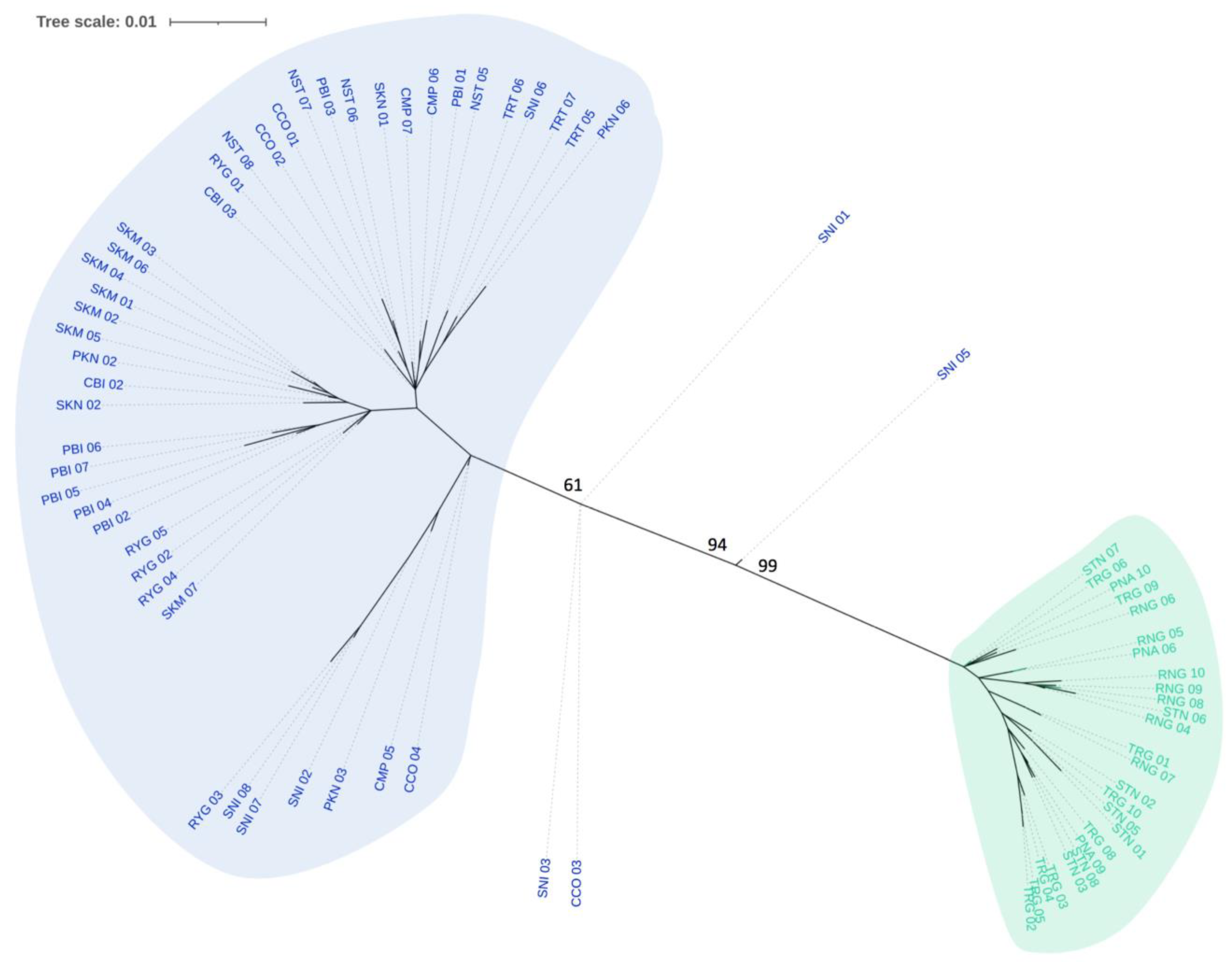 Forests 14 00693 g003 Forests 14 00693 g003