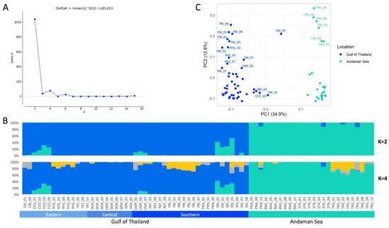 Forests Free Full Text Elucidating Snp Based Population Structure And Genetic Diversity Of