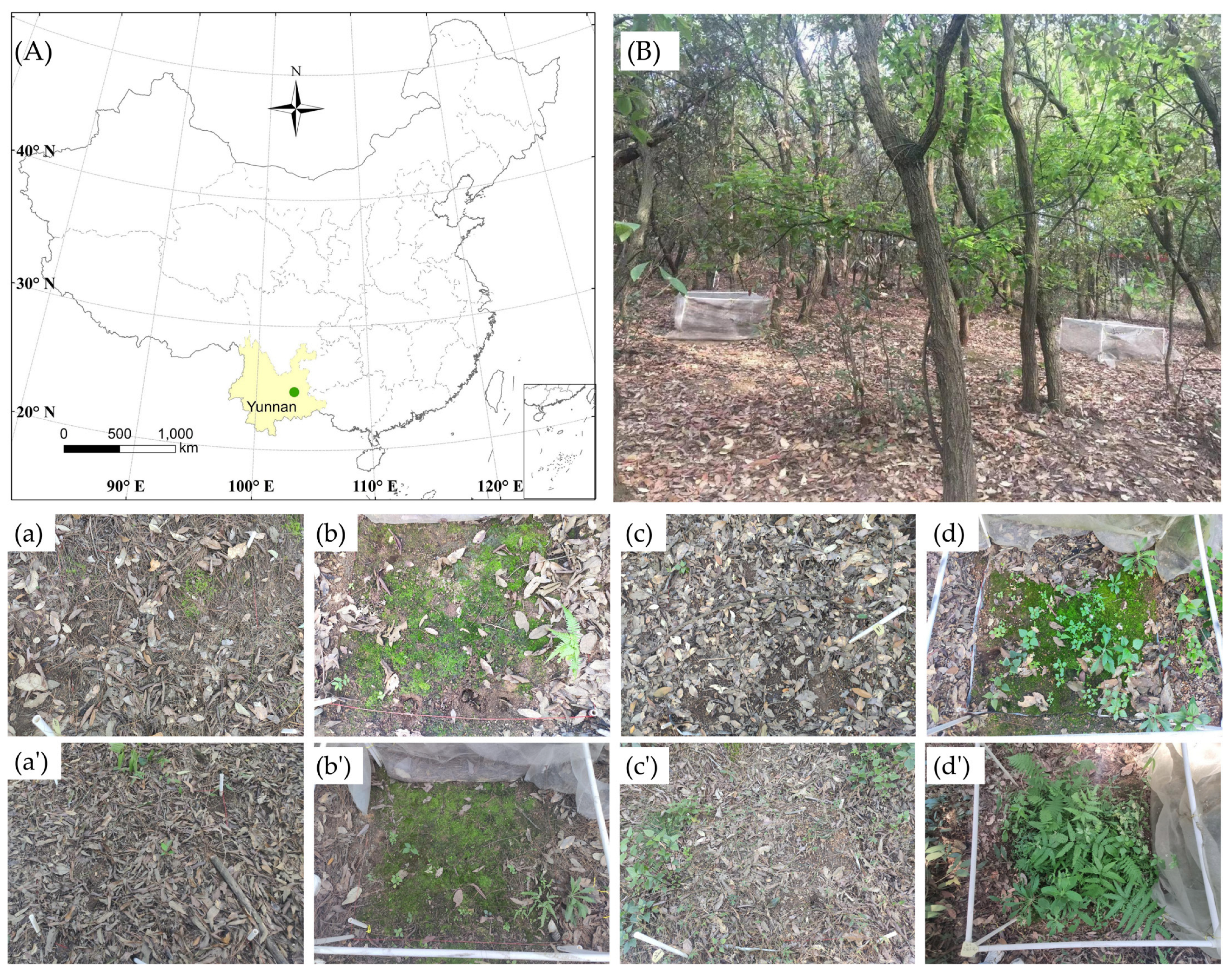 https://www.mdpi.com/forests/forests-14-00712/article_deploy/html/images/forests-14-00712-g001.png