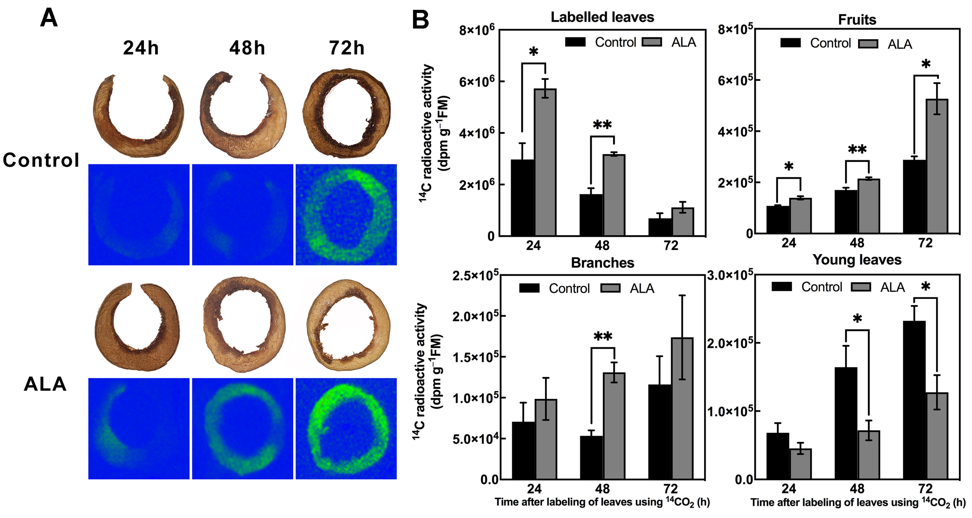 Forests 14 00723 g002