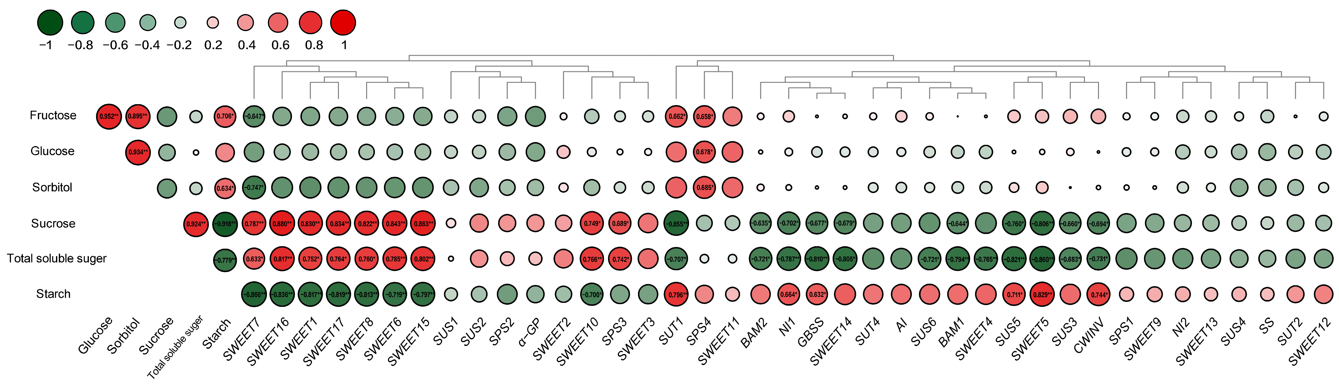 Forests 14 00723 g006