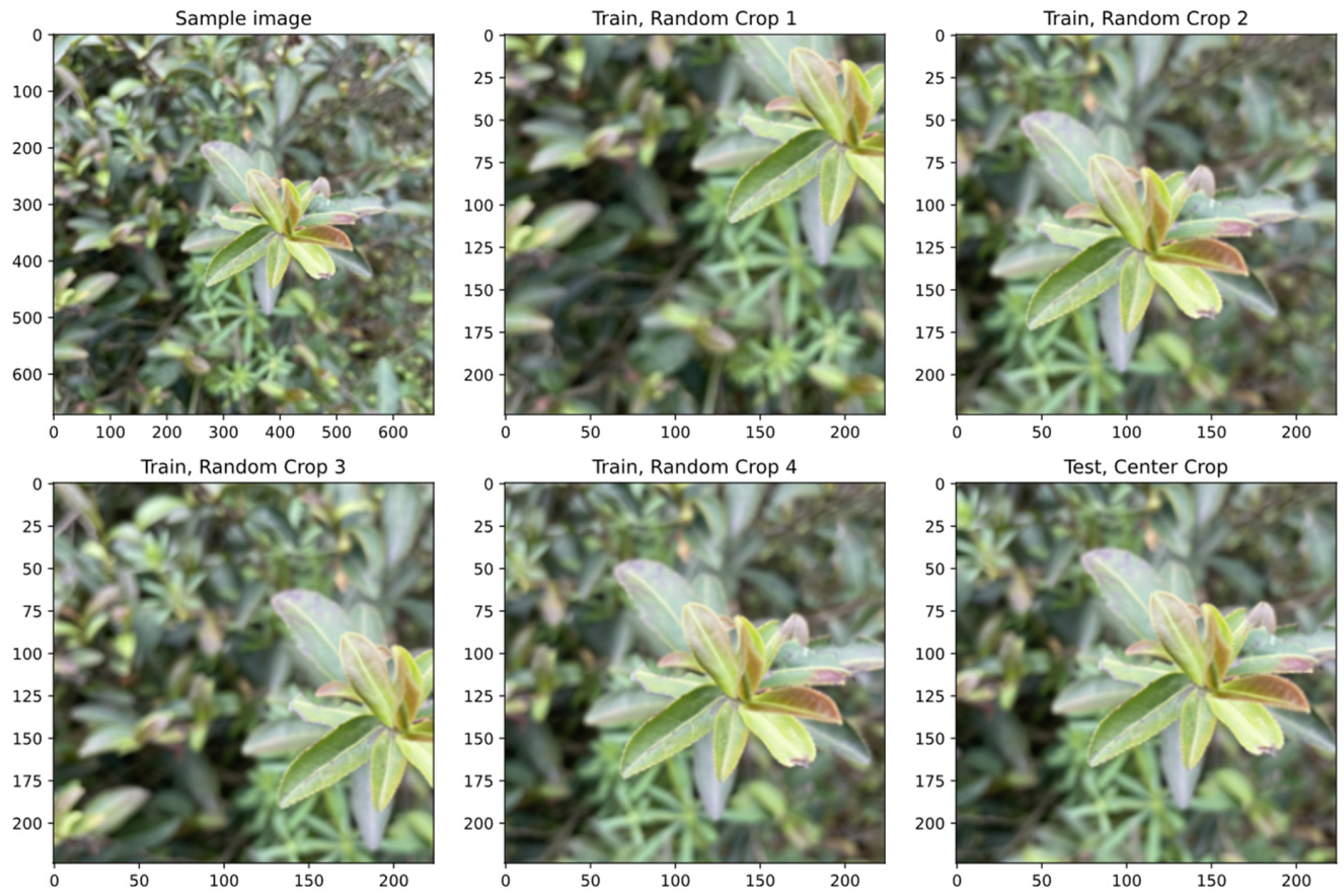 Forests 14 00728 g002