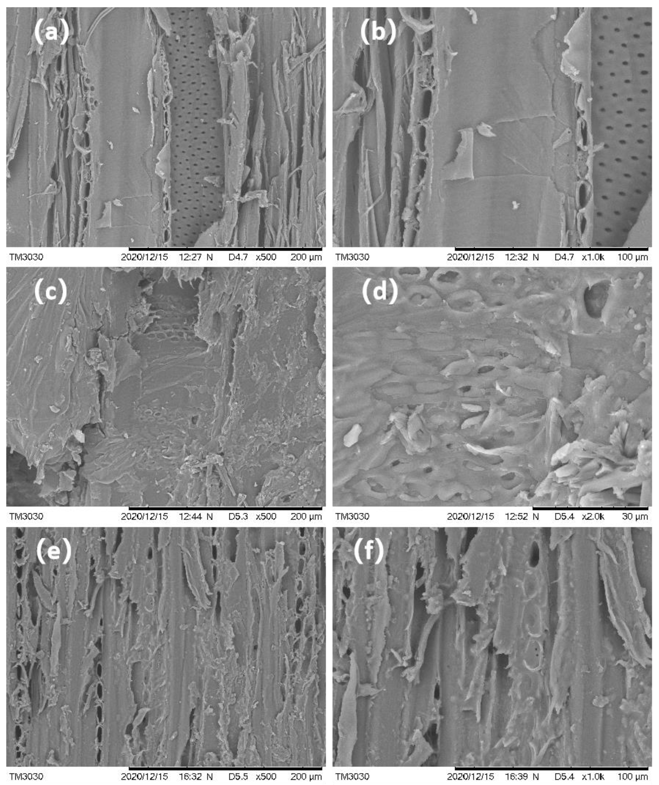 Forests 14 00741 g001