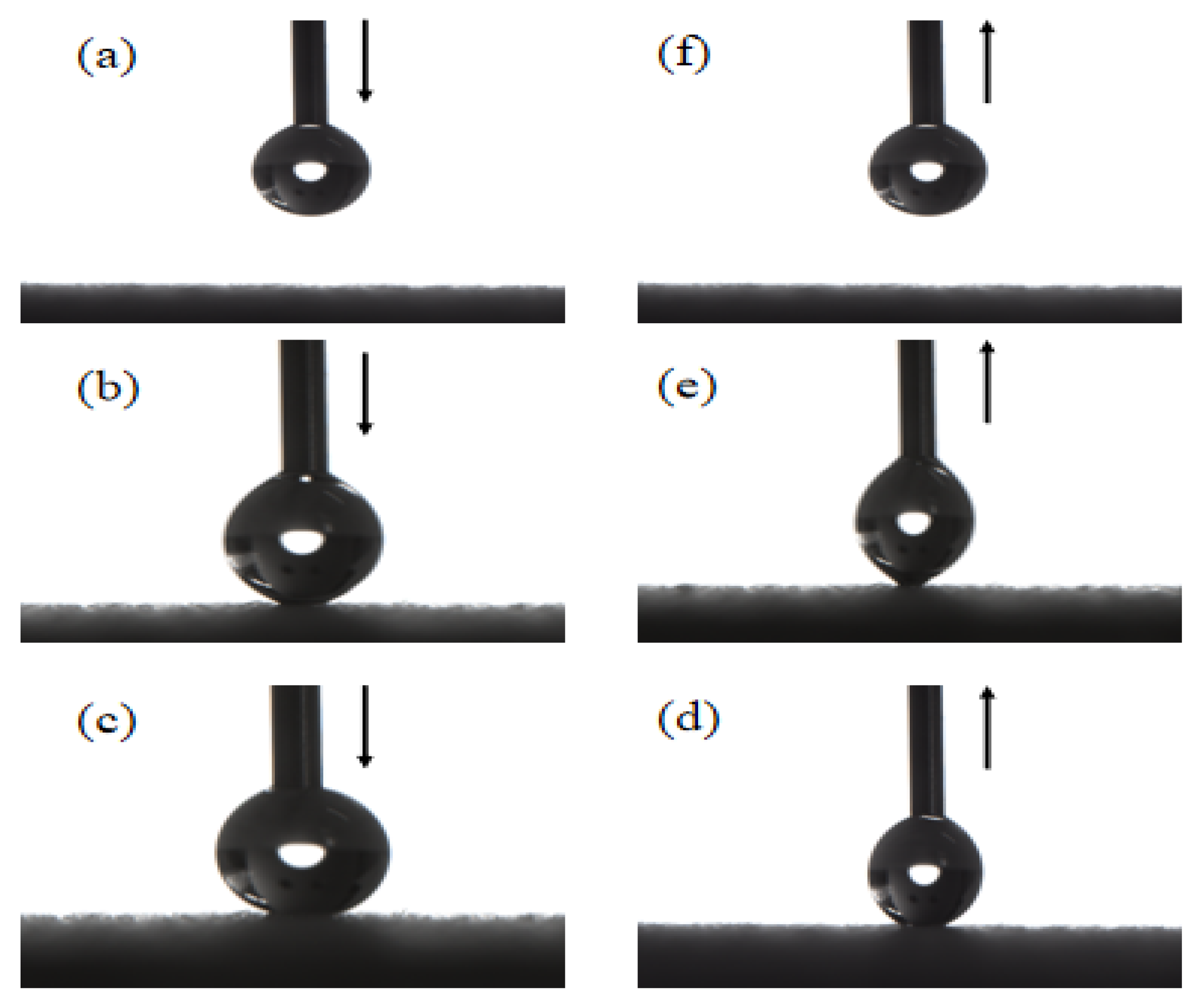 Forests 14 00759 g005