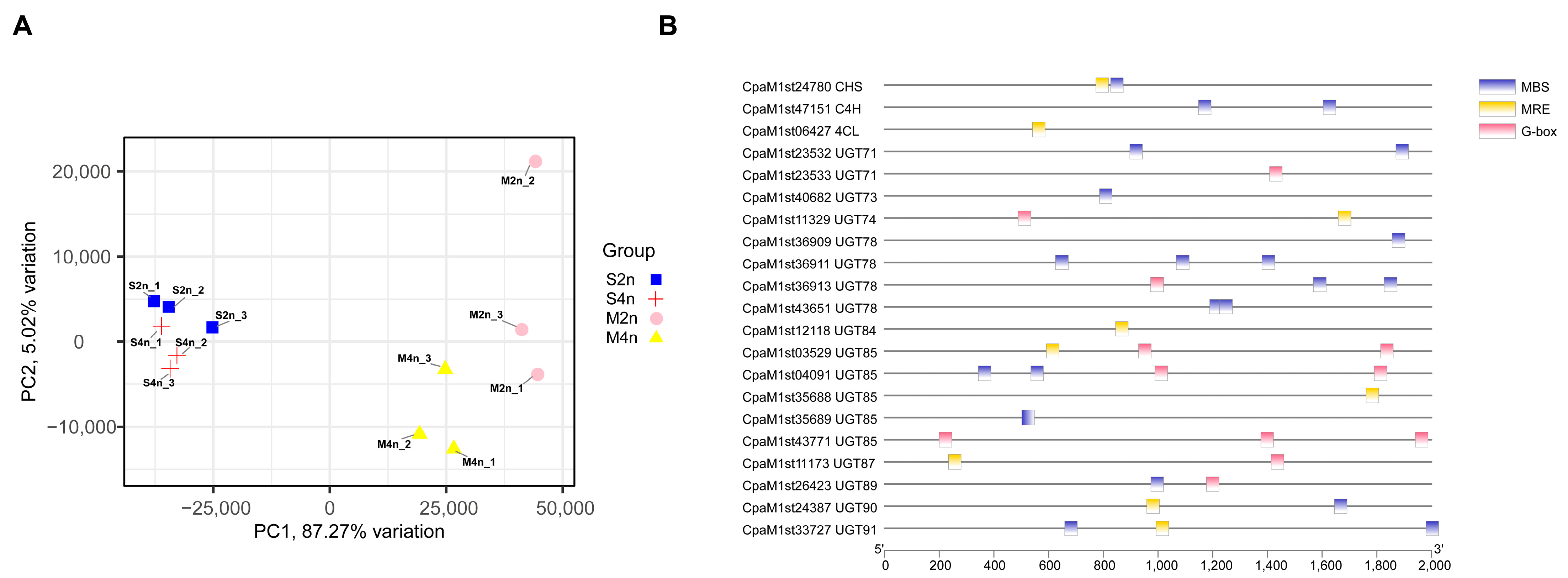 Forests 14 00770 g003