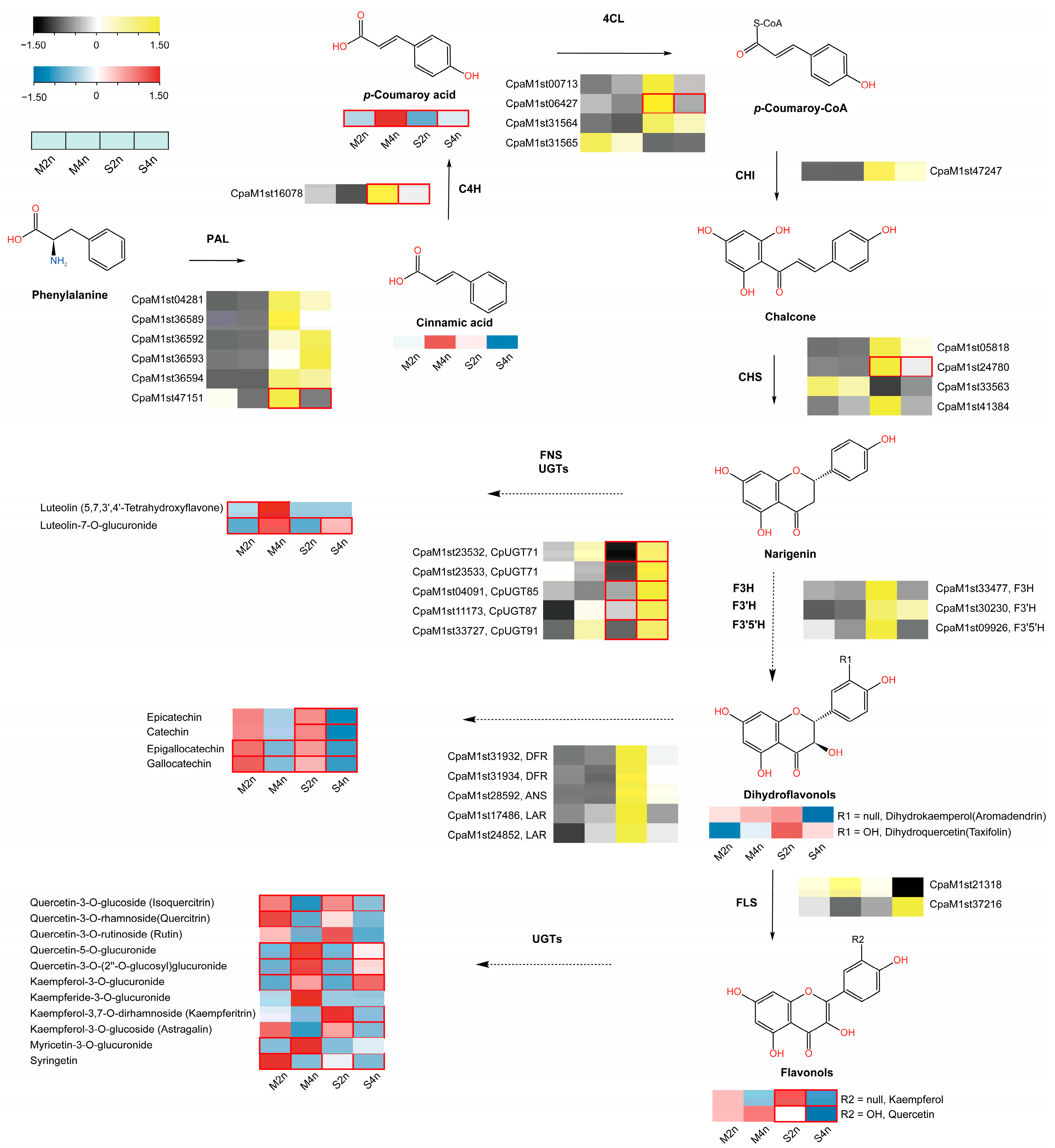 Forests 14 00770 g007