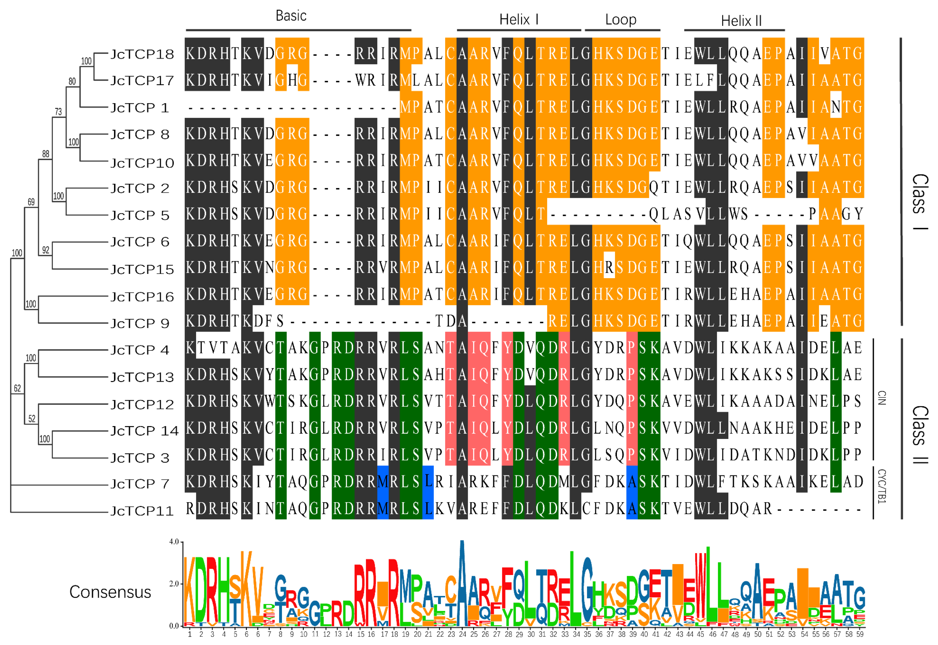 Forests 14 00780 g002 Forests 14 00780 g002