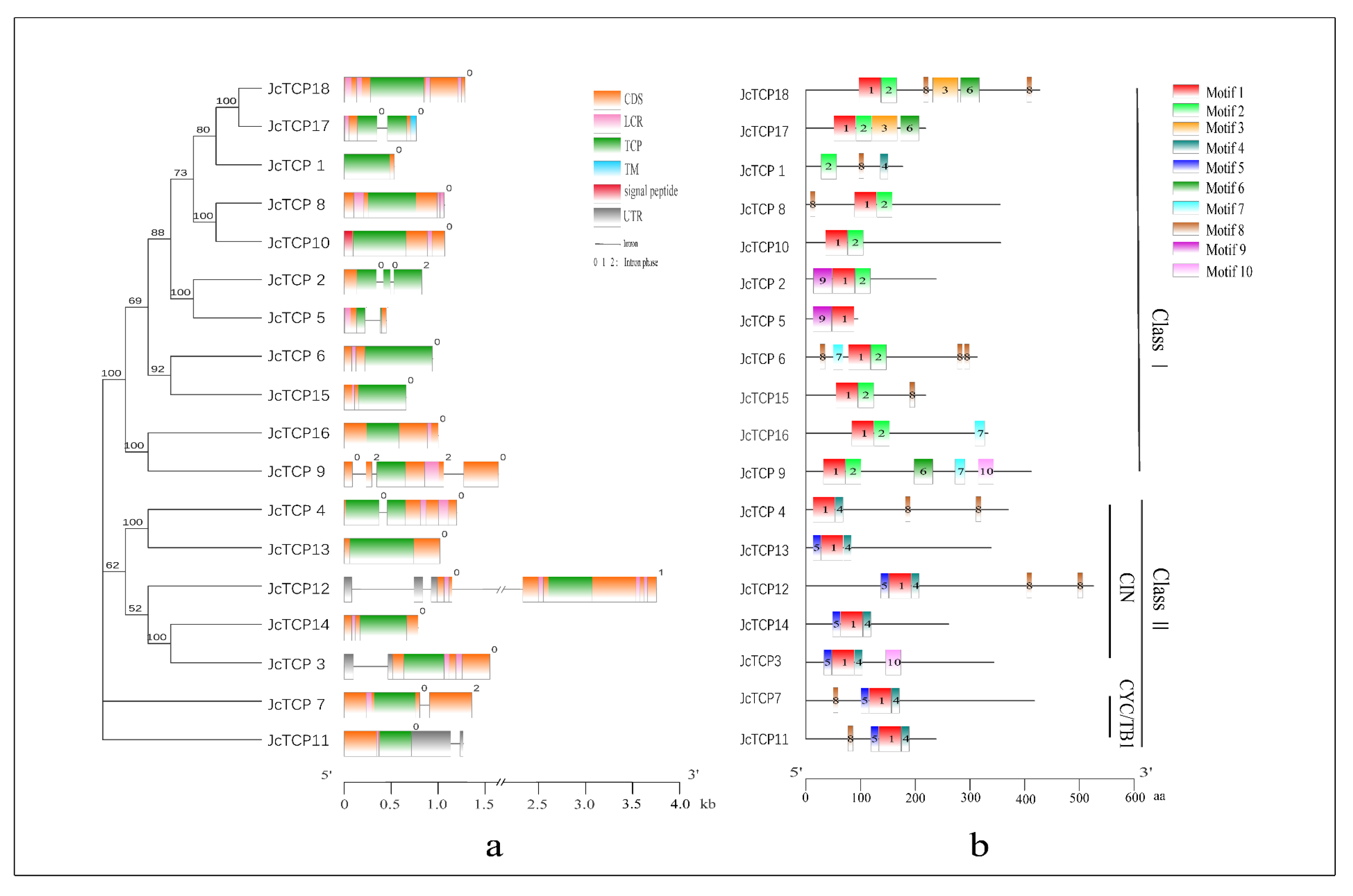 Forests 14 00780 g003 Forests 14 00780 g003