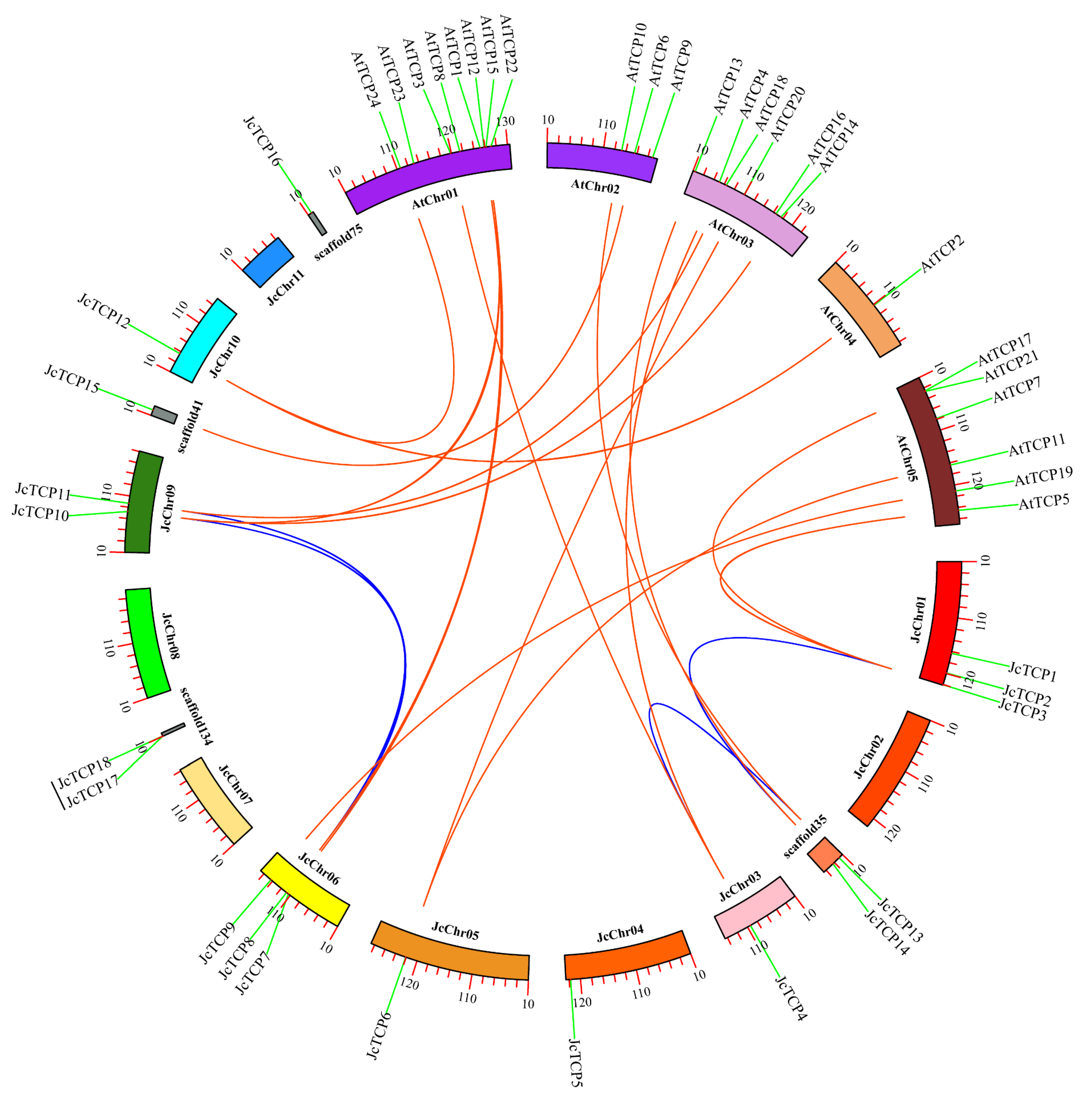 Forests 14 00780 g004 Forests 14 00780 g004