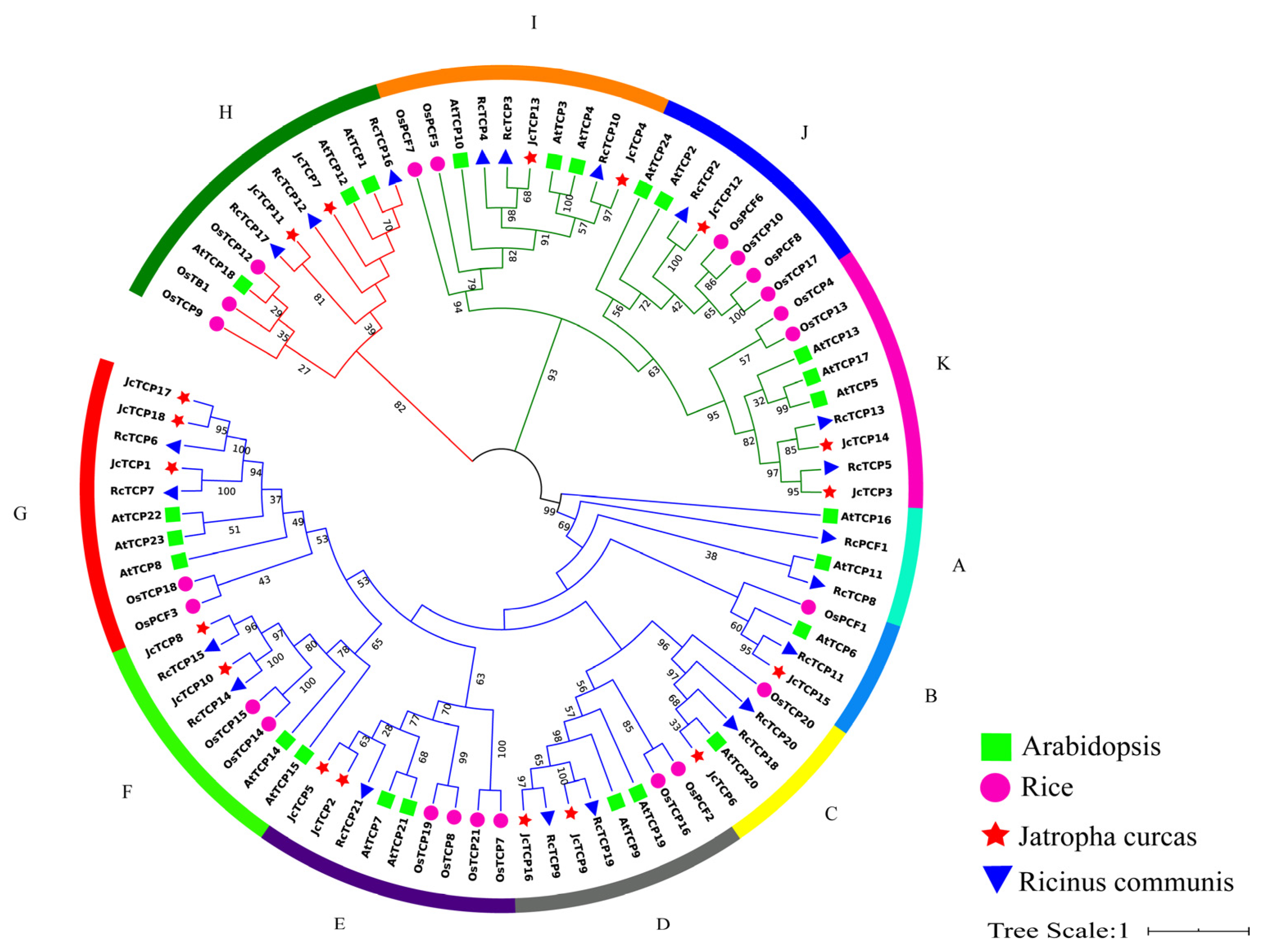 Forests 14 00780 g005 Forests 14 00780 g005