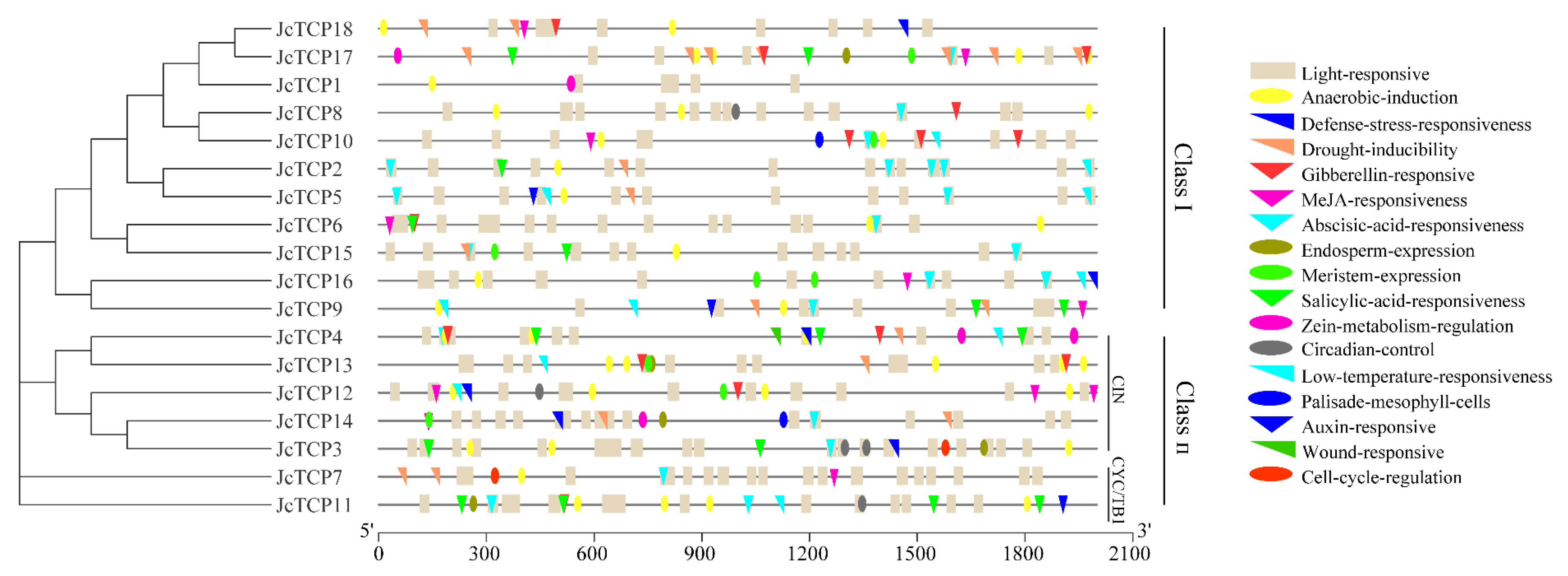 Forests 14 00780 g006 Forests 14 00780 g006