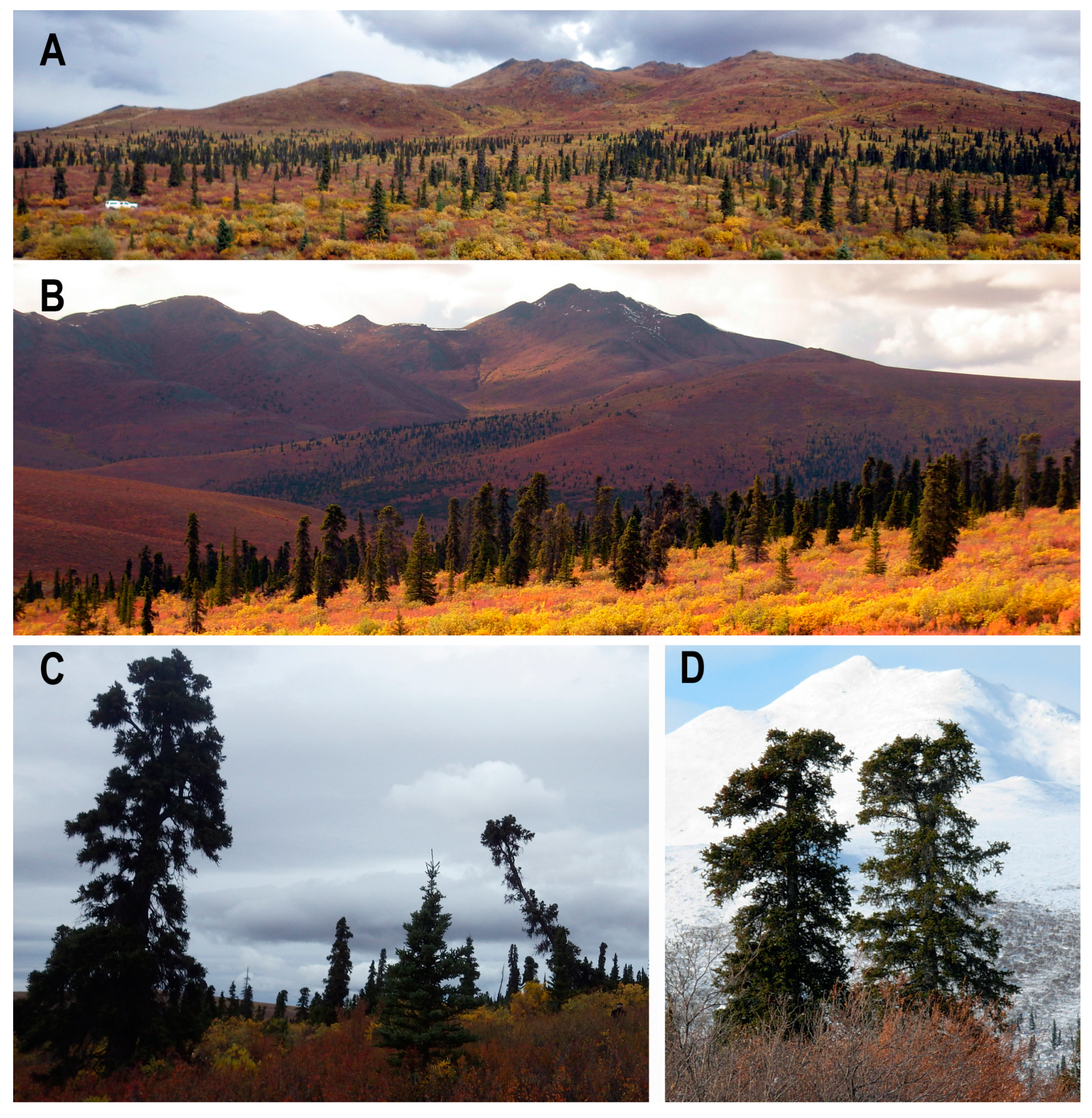 Forests 14 00787 g002 Forests 14 00787 g002