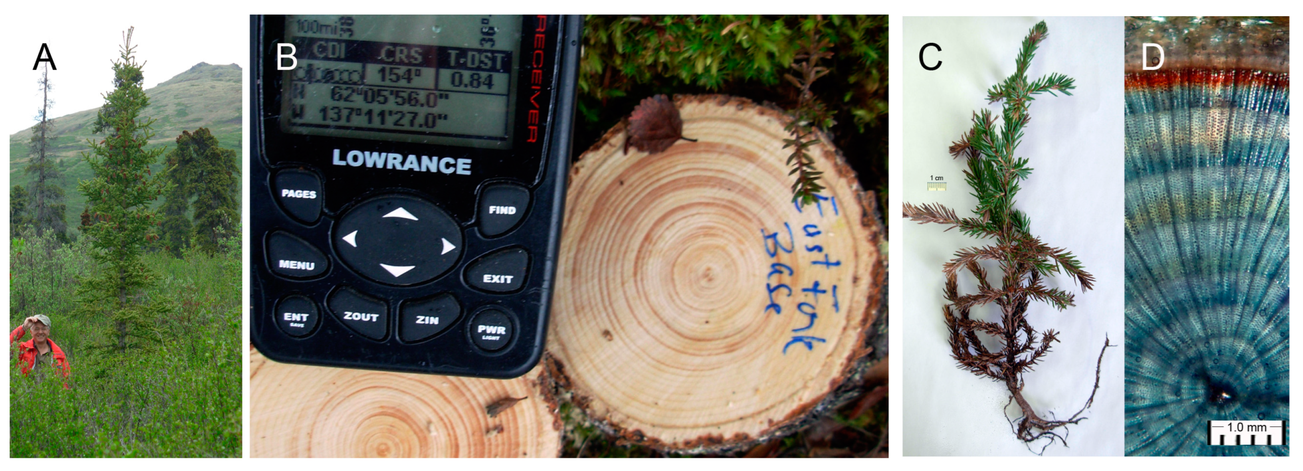 Forests 14 00787 g010 Forests 14 00787 g010