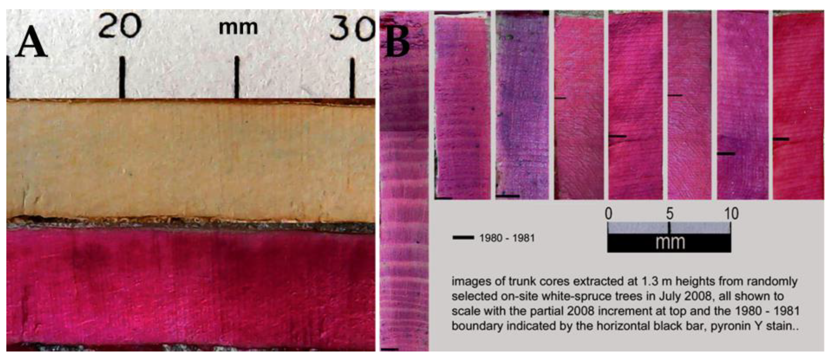 Forests 14 00787 g012 Forests 14 00787 g012