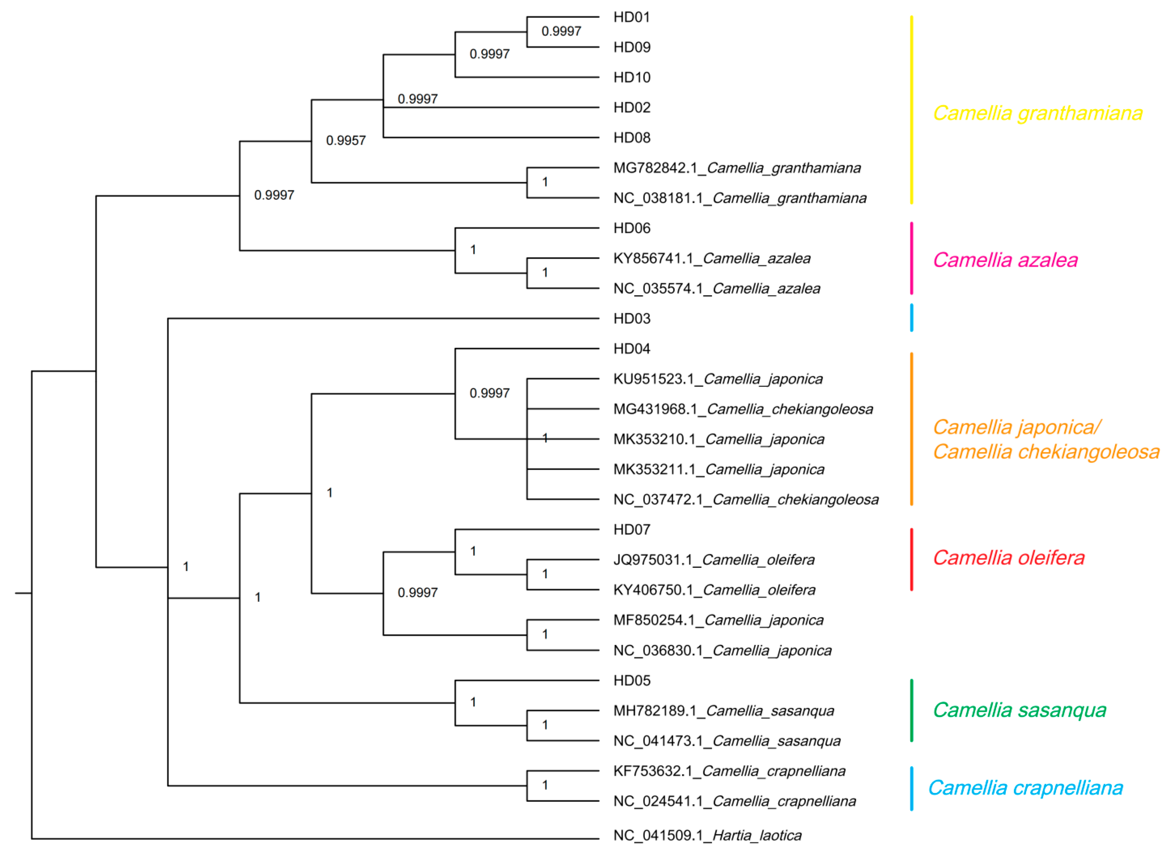 Forests 14 00794 g007