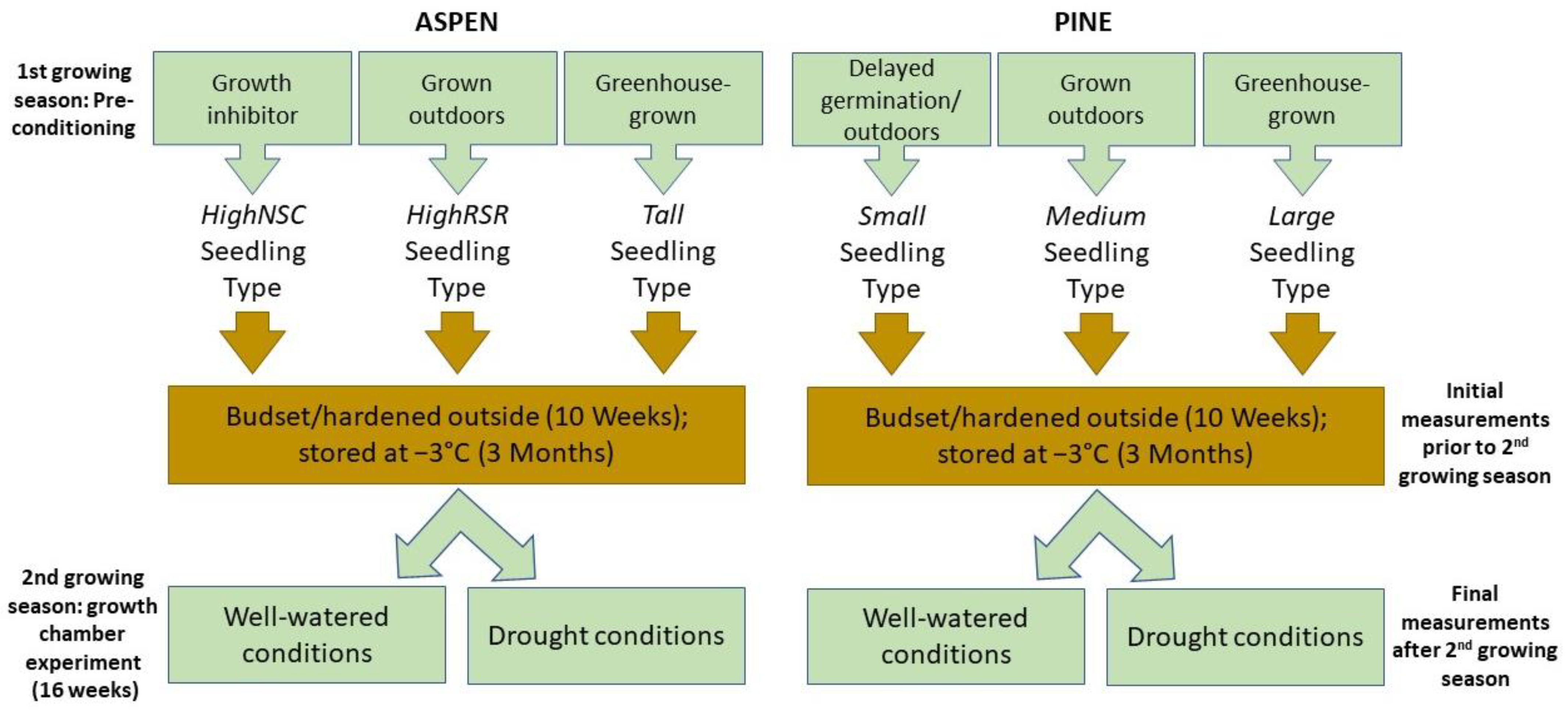 Forests 14 00796 g0a1 Forests 14 00796 g0a1
