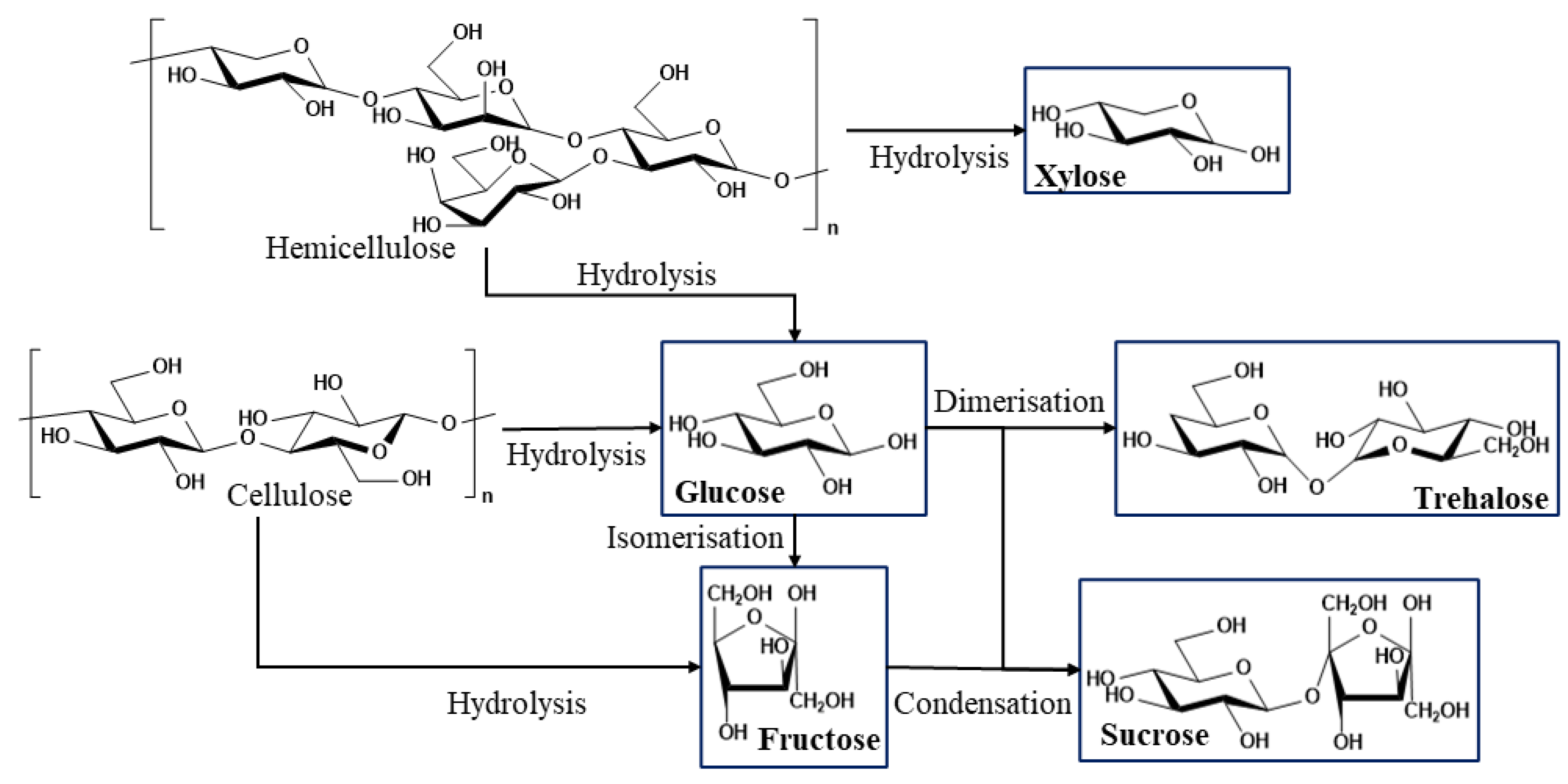Forests 14 00799 g003 Forests 14 00799 g003