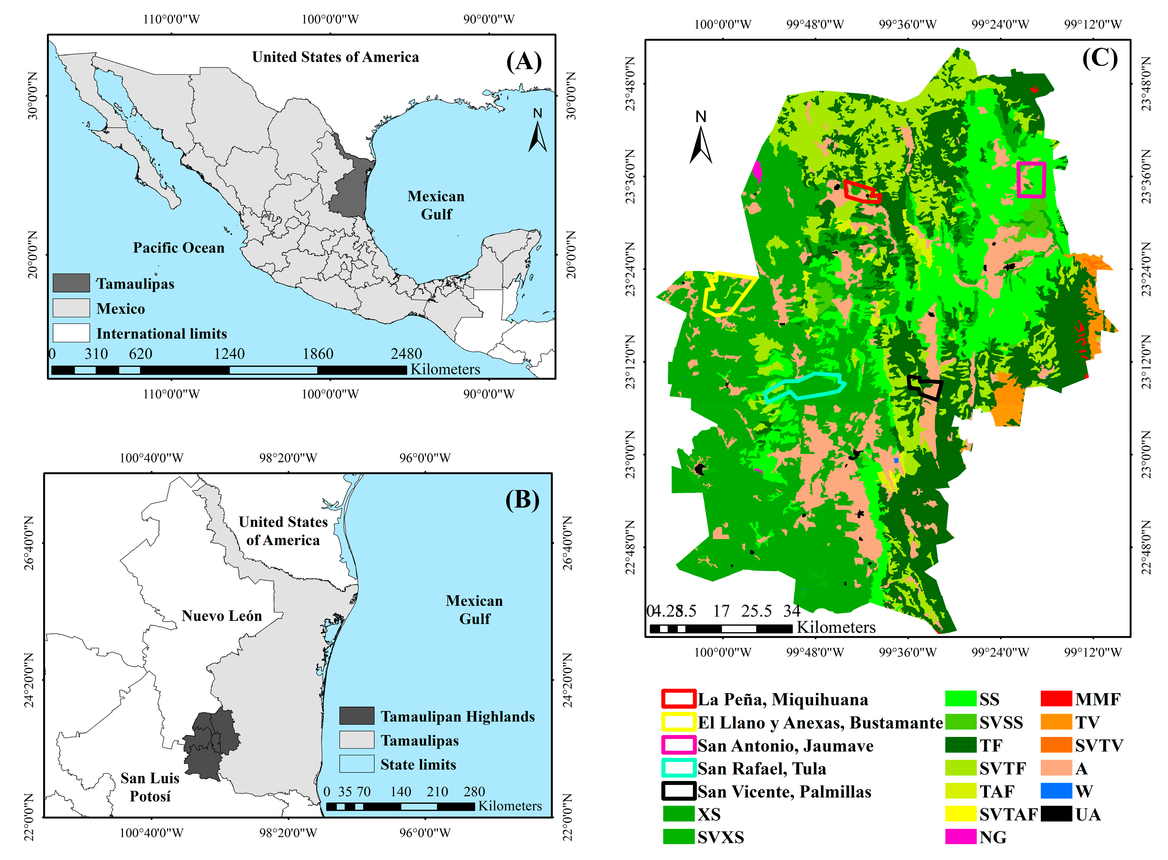 Forests 14 00815 g001