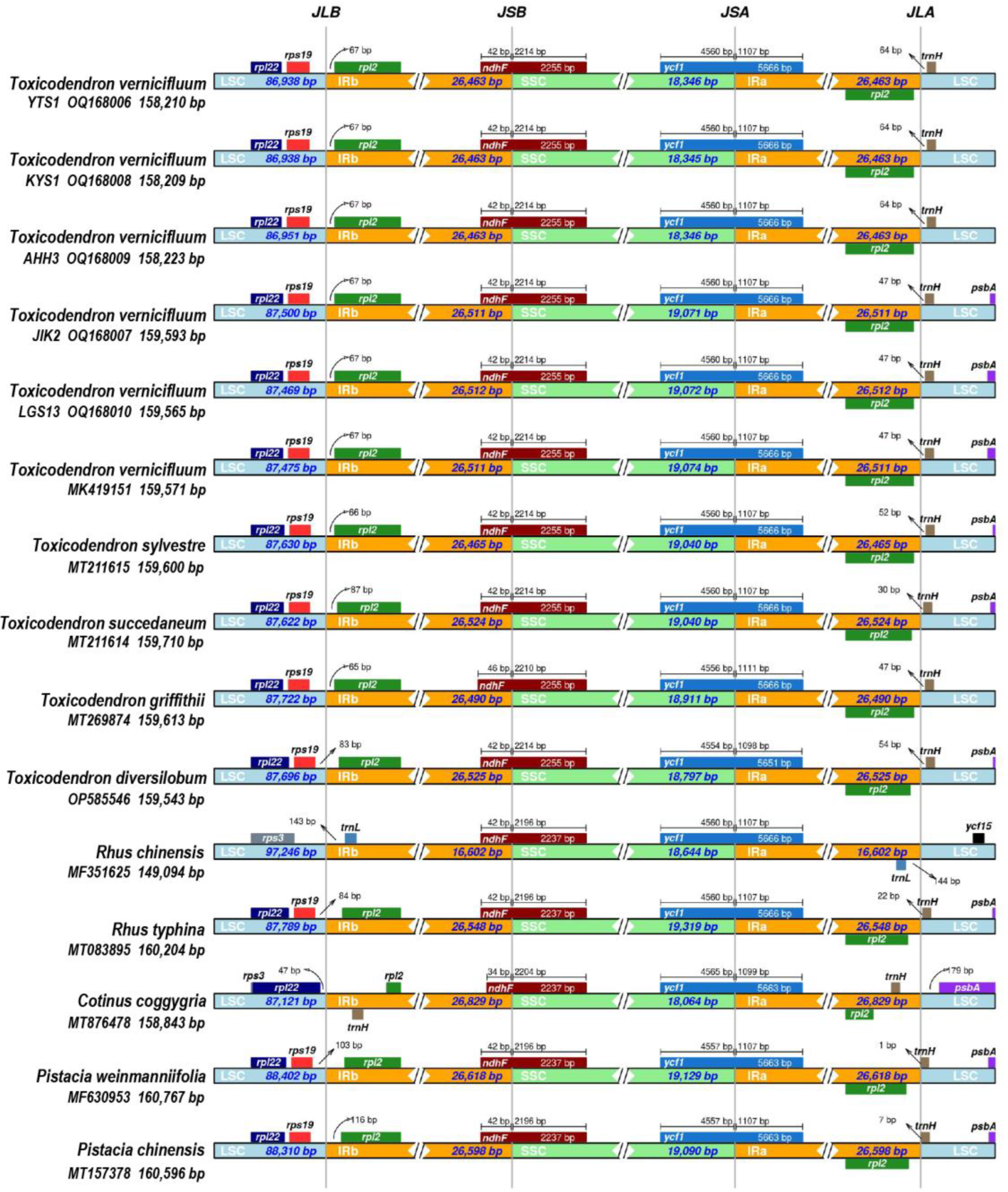 Forests 14 00818 g008 Forests 14 00818 g008