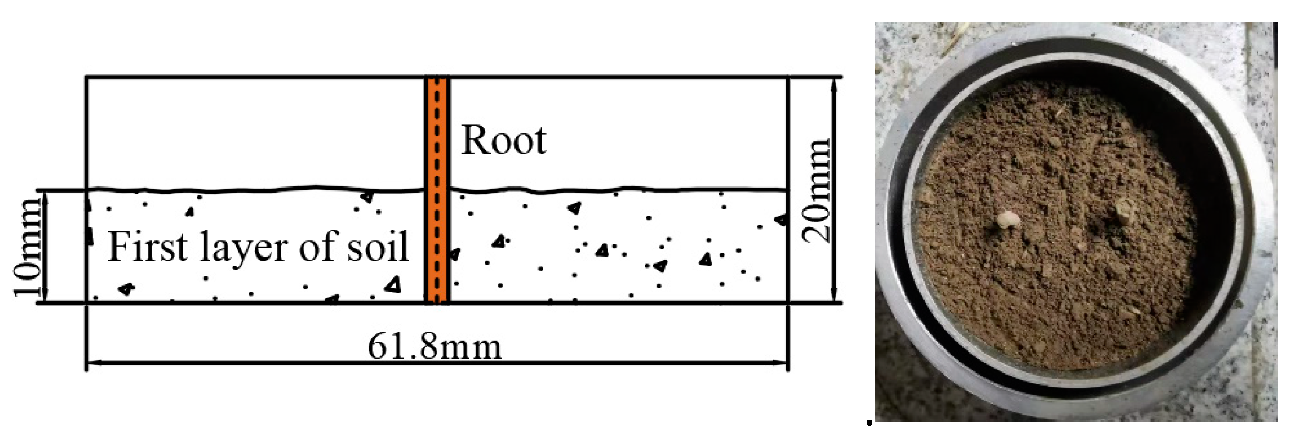 Forests 14 00819 g012 Forests 14 00819 g012