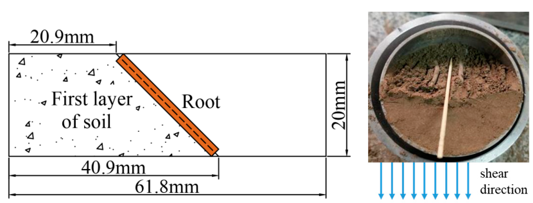 Forests 14 00819 g013 Forests 14 00819 g013