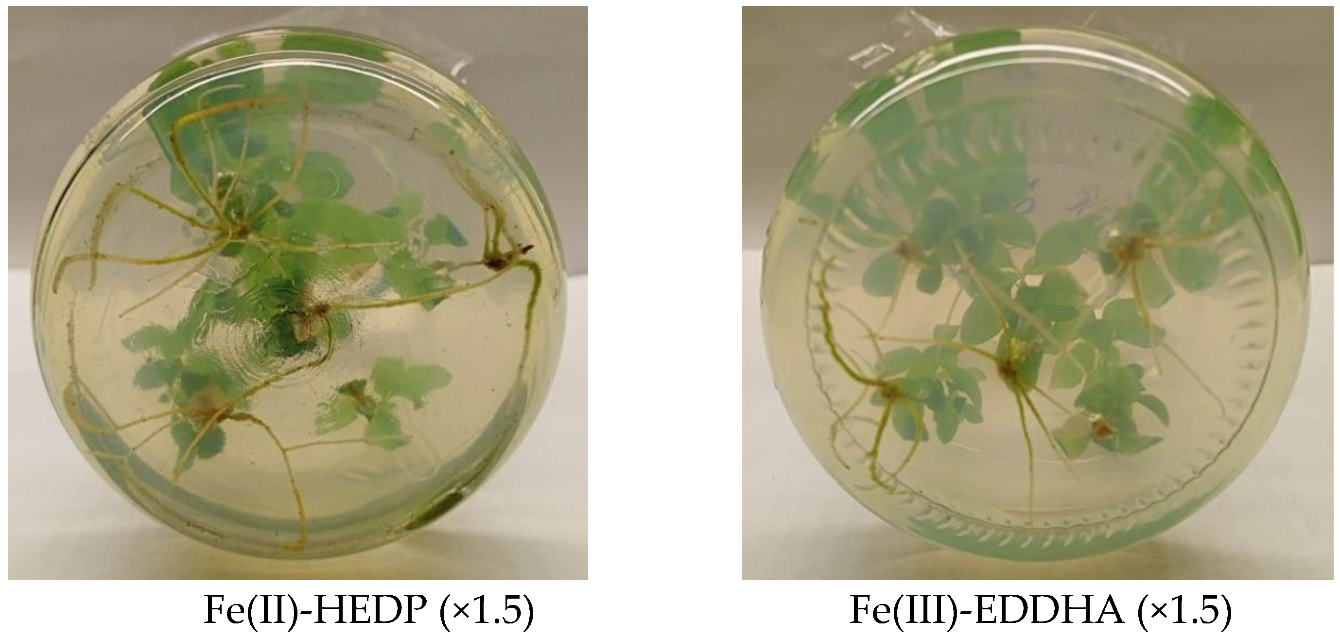 Forests 14 00821 g004b Forests 14 00821 g004b