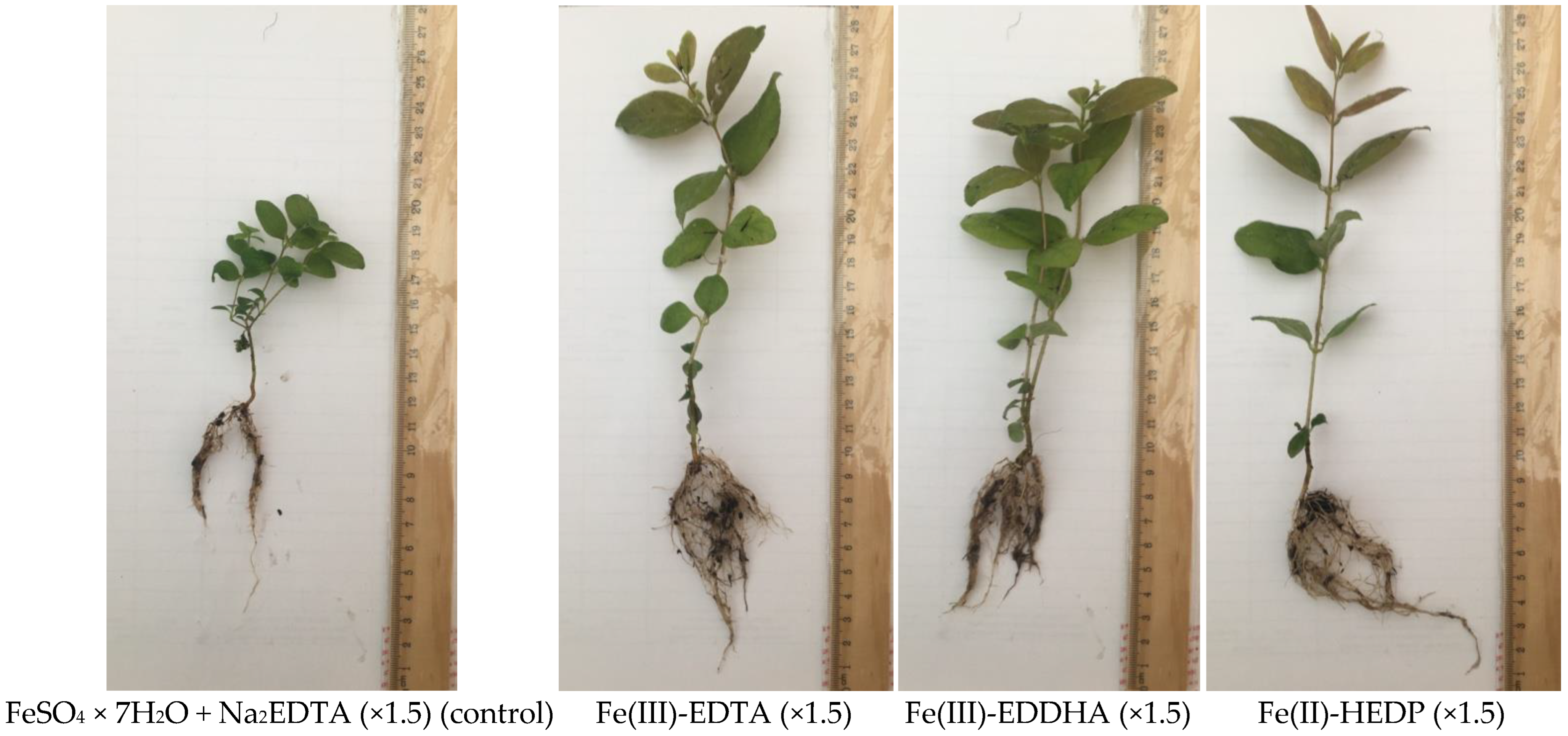 Forests 14 00821 g005 Forests 14 00821 g005