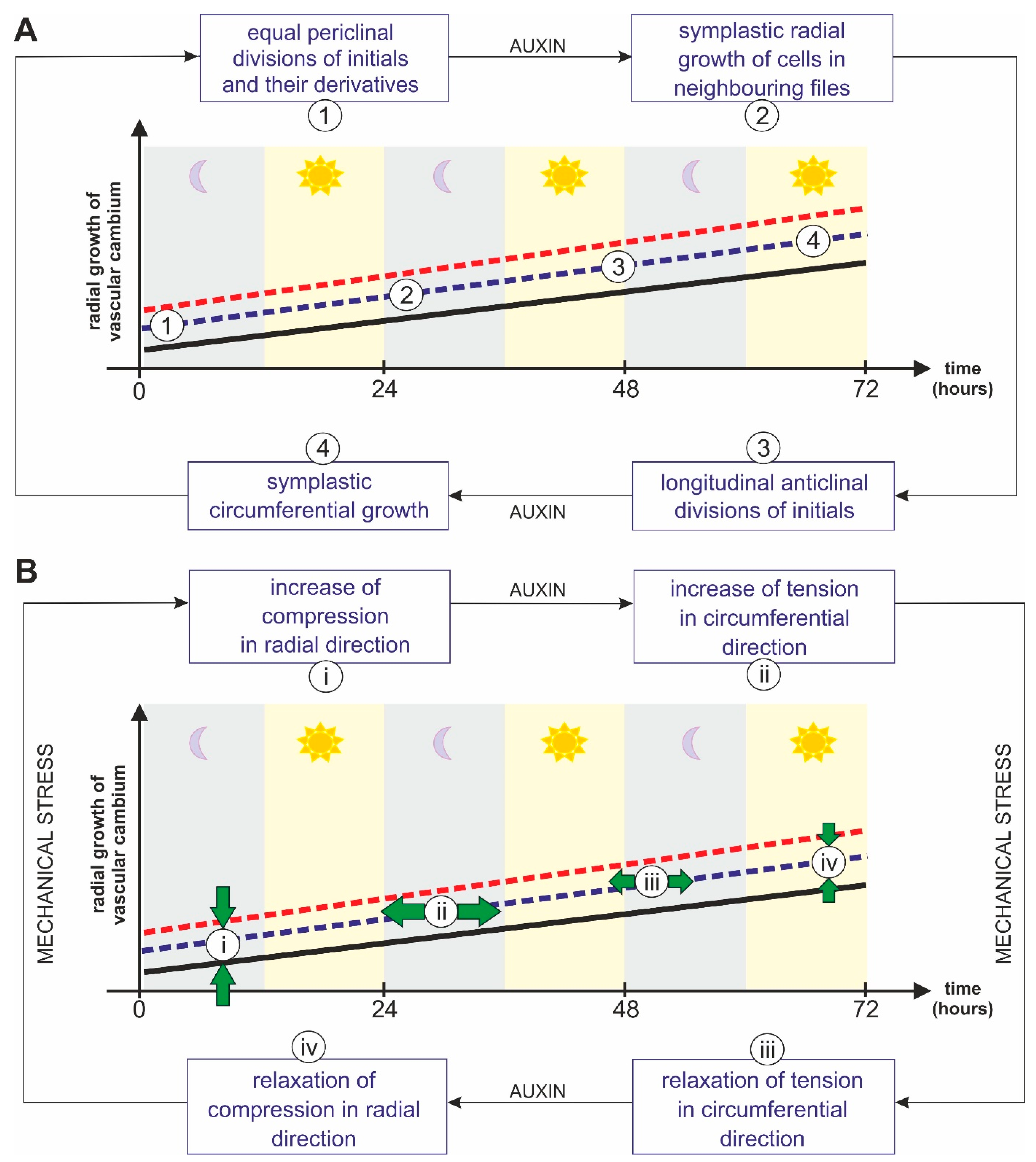 Forests 14 00823 g002 Forests 14 00823 g002