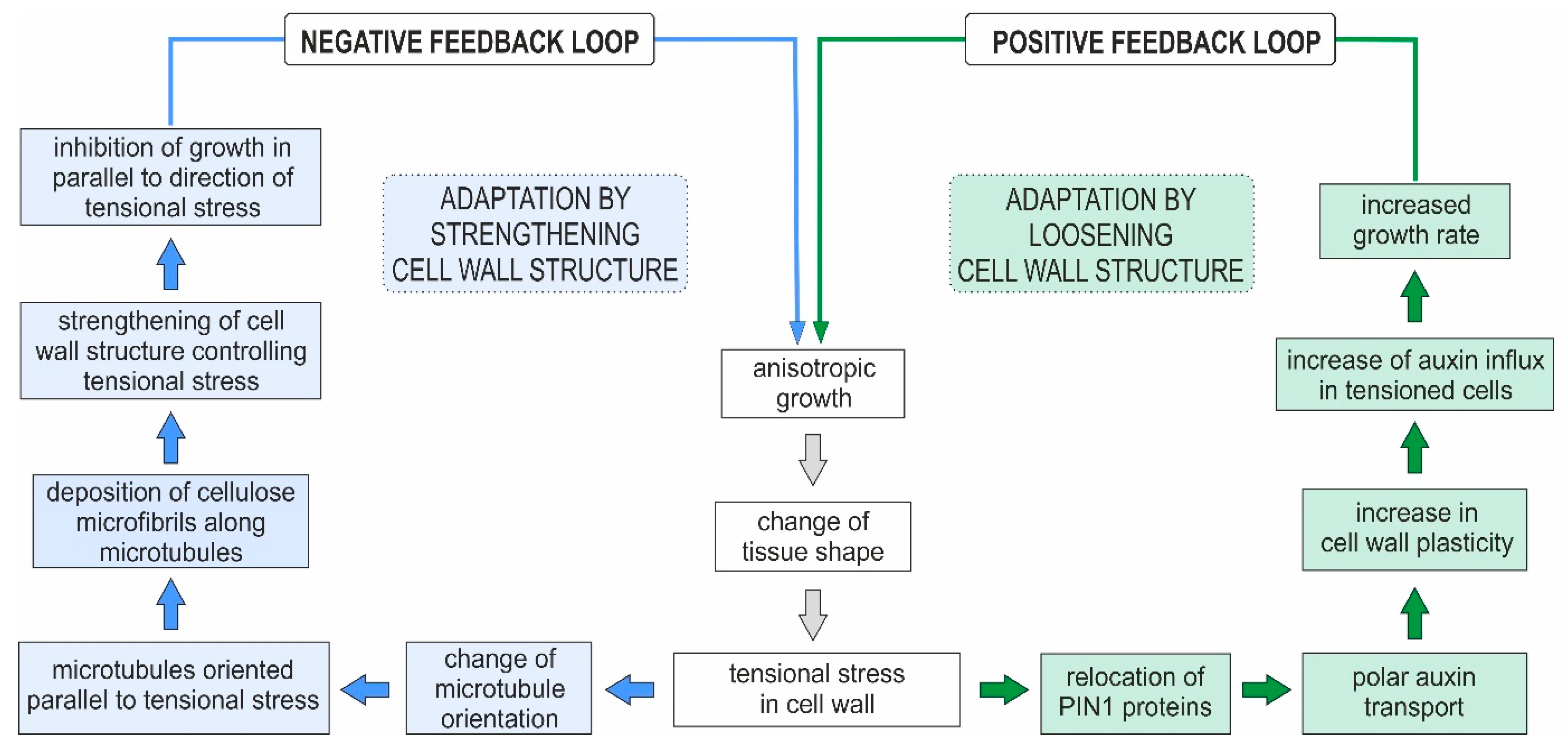 Forests 14 00823 g003 Forests 14 00823 g003