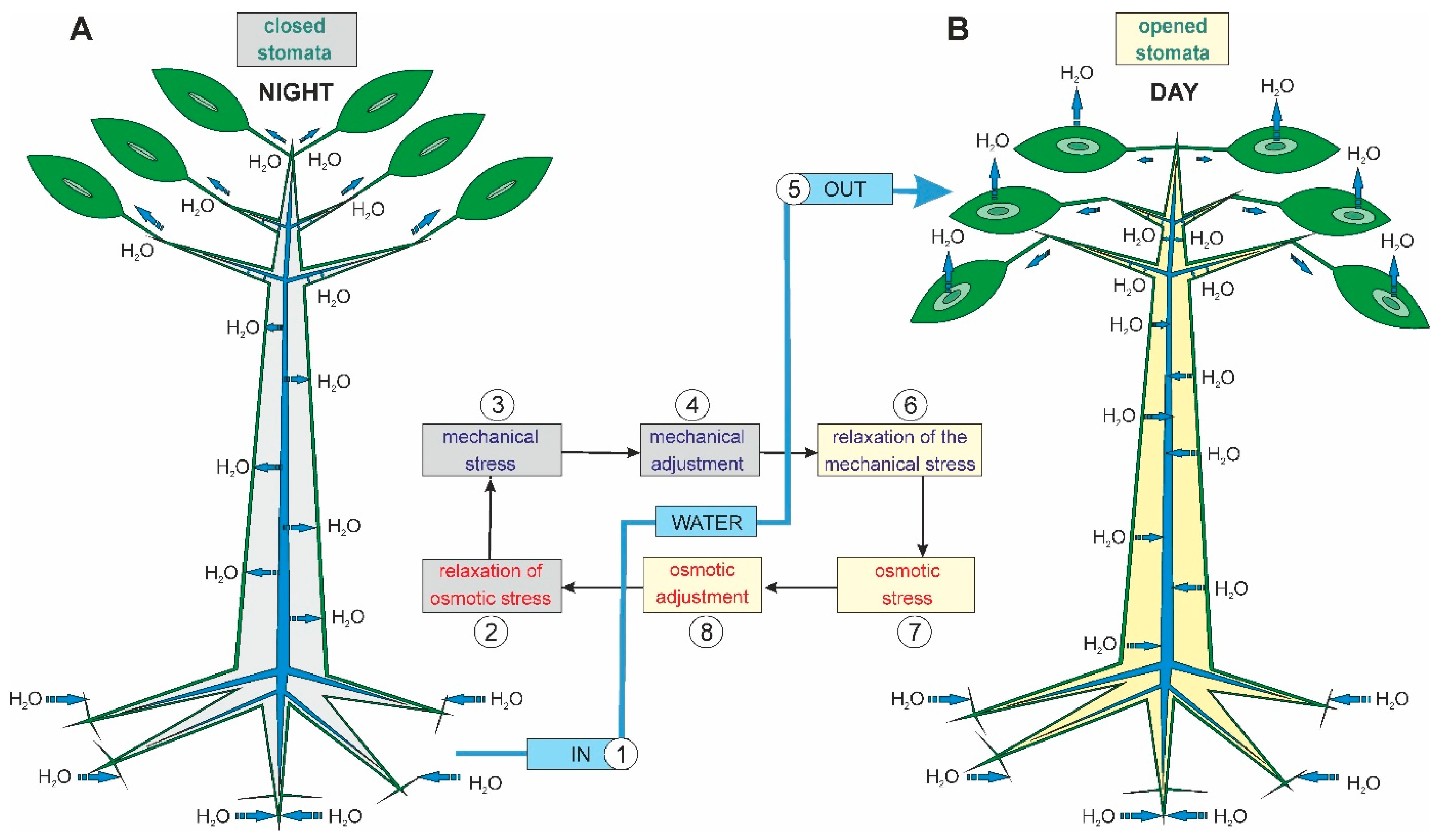 Forests 14 00823 g004 Forests 14 00823 g004