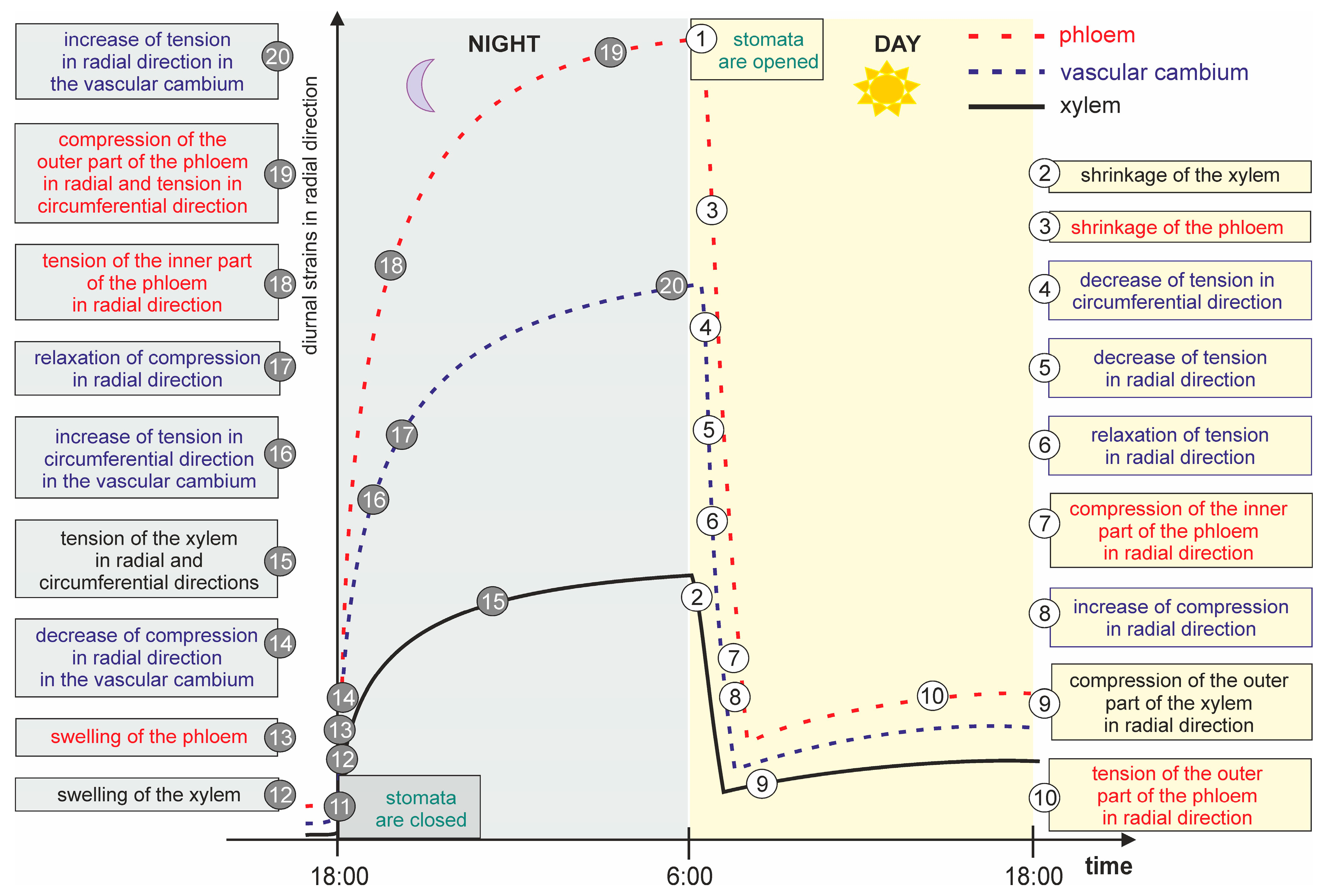 Forests 14 00823 g005 Forests 14 00823 g005