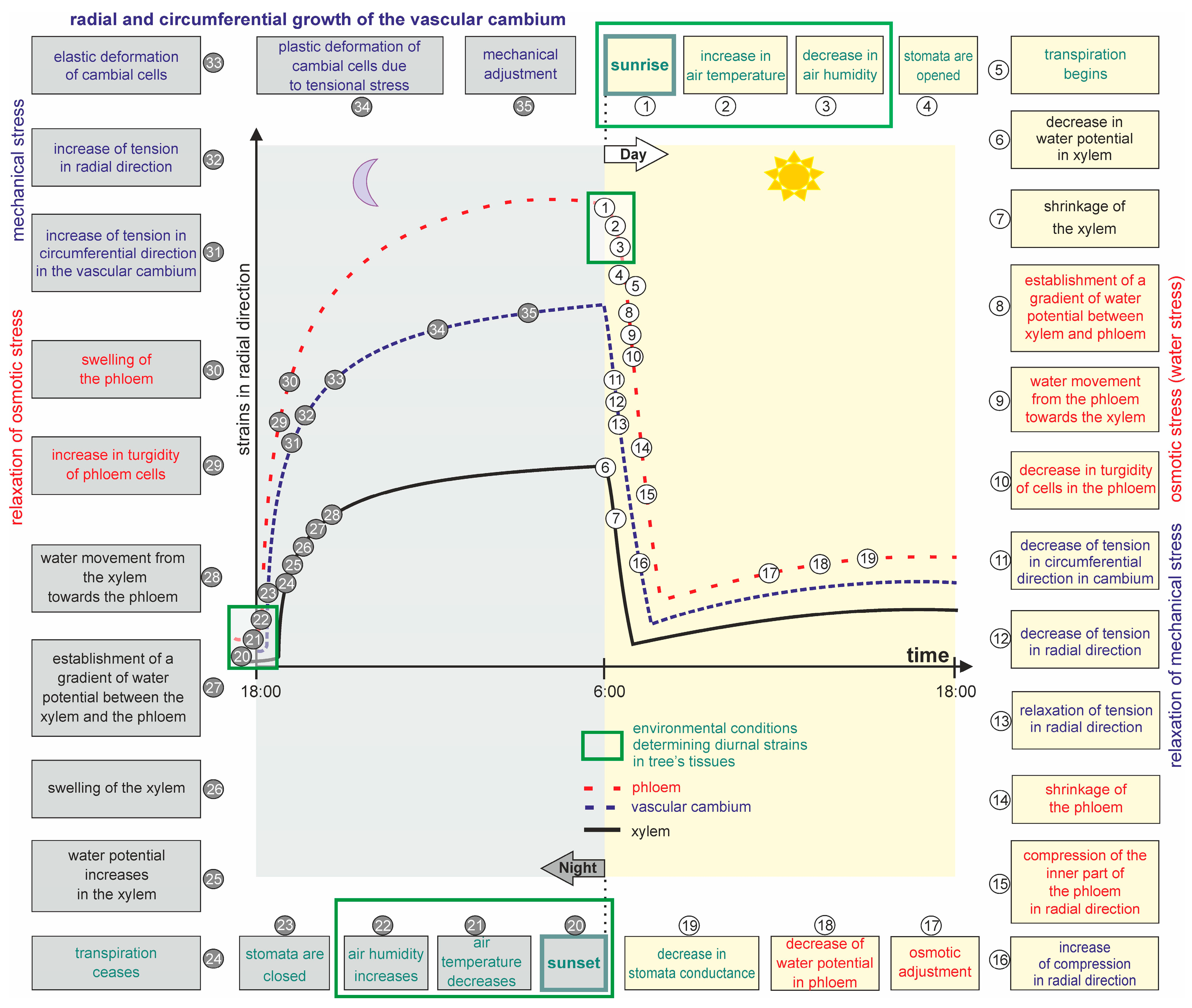 Forests 14 00823 g006 Forests 14 00823 g006